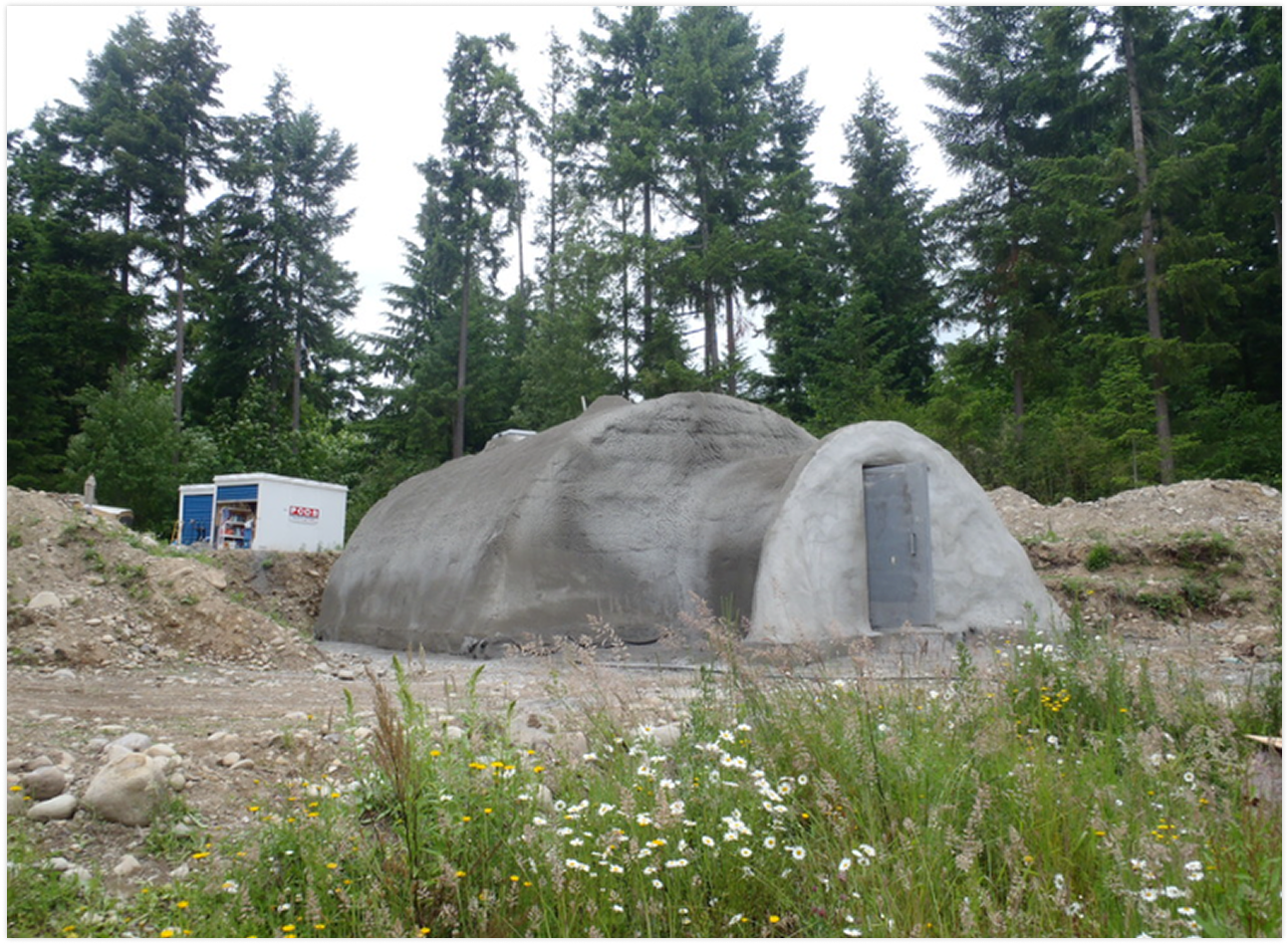 A small, dome-shaped, earth-bermed structure with a metal door, surrounded by wildflowers and trees in a forested area.
