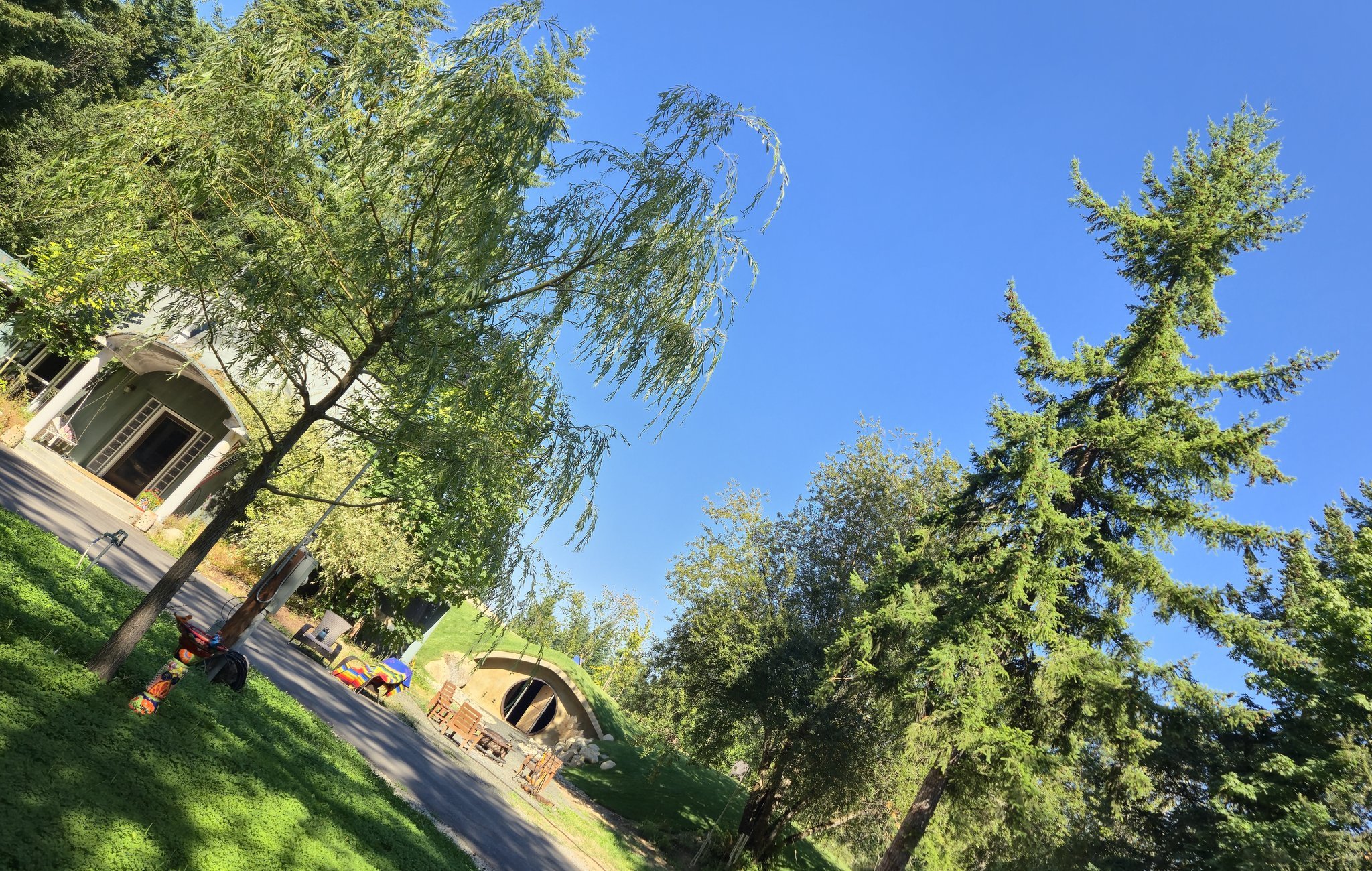 Tree-lined yard with green grass, a small building, and a tunnel entrance in the background under a clear blue sky.