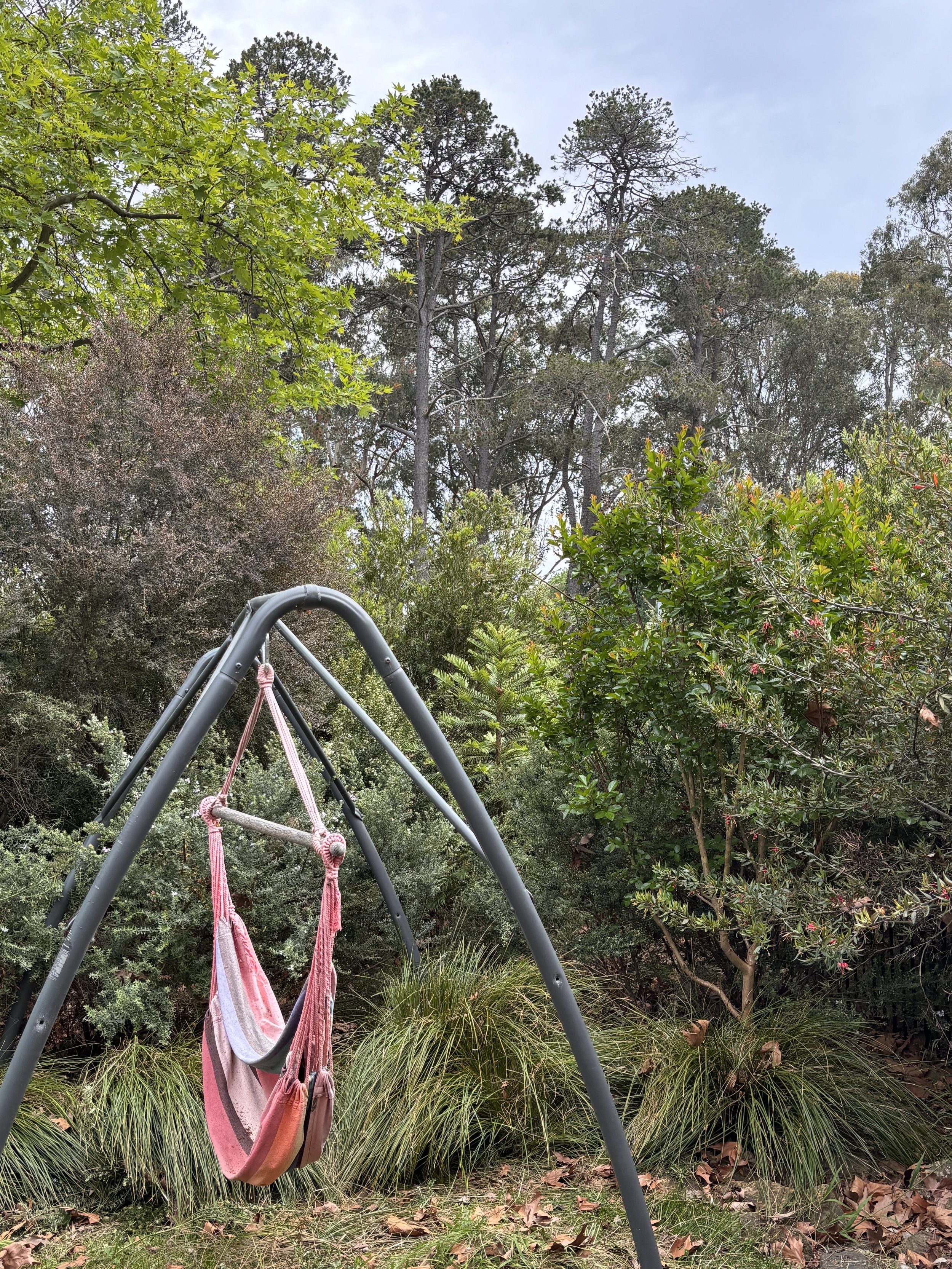 Before and after native garden restoration by Garden ‘N’ Cycle
