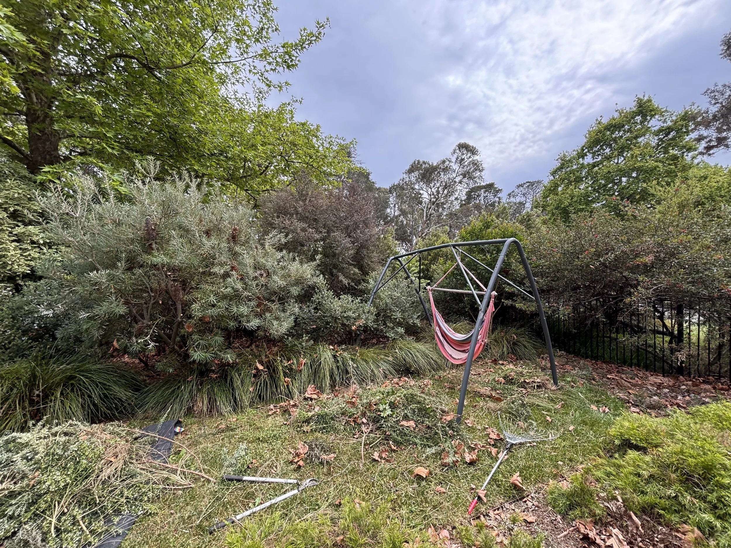 A garden scene with a swing set that has a hammock instead of a seat, surrounded by green bushes and trees with fallen leaves on the ground under a cloudy sky.