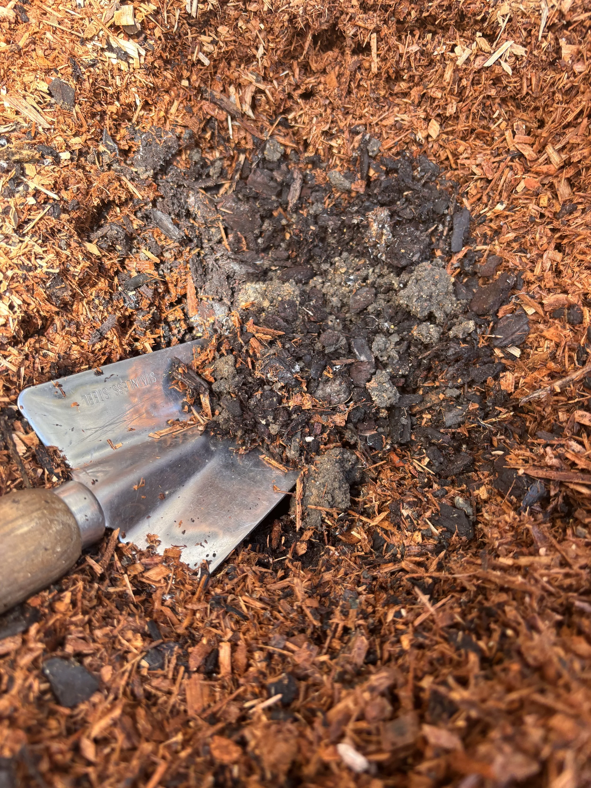 A small gardening trowel partially buried in dark soil, surrounded by reddish-brown mulch or wood chips.