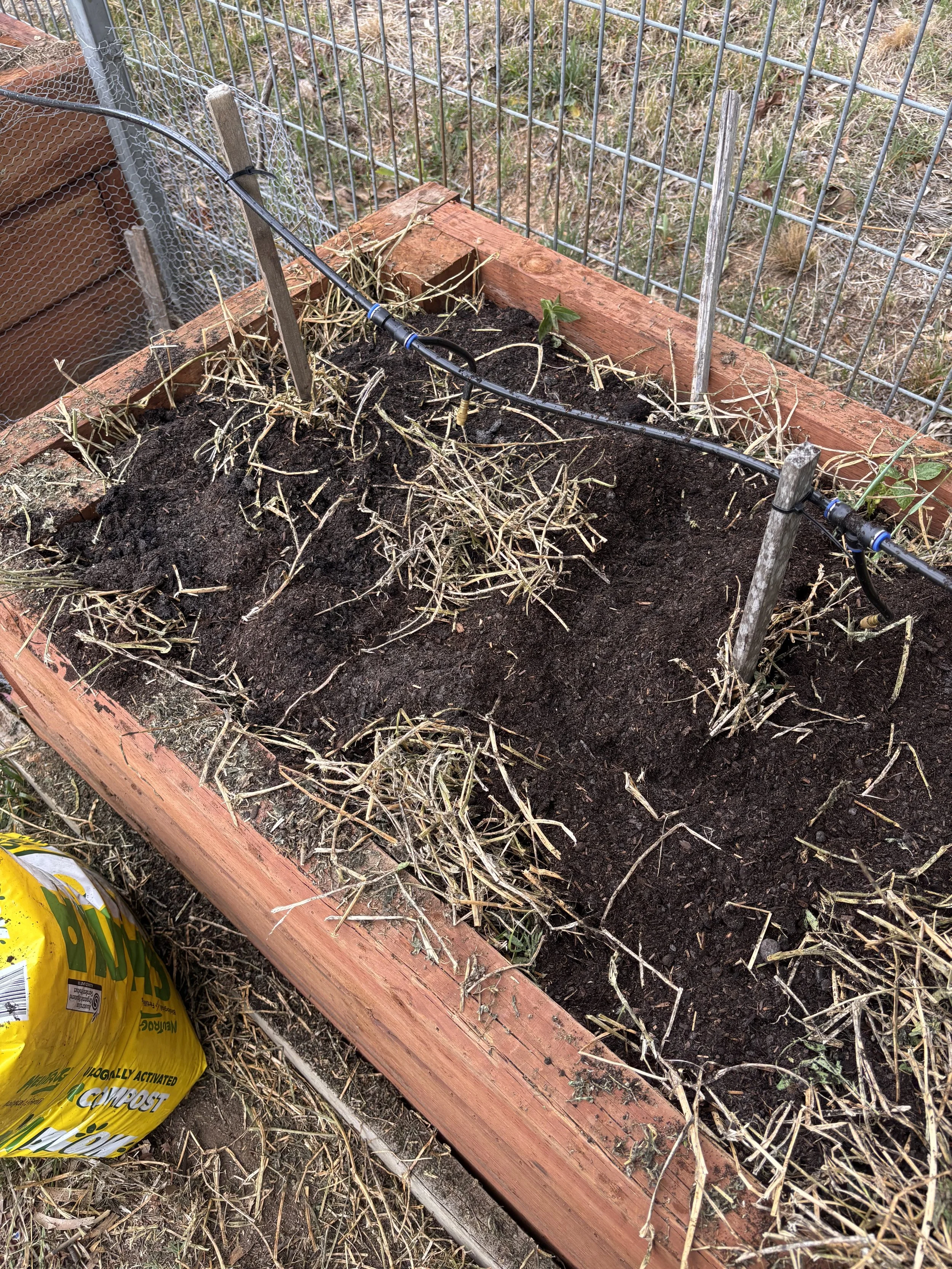 A wooden garden bed with dark soil, some dried plant remains, and a drip irrigation pipe running across it, surrounded by a wire fence.