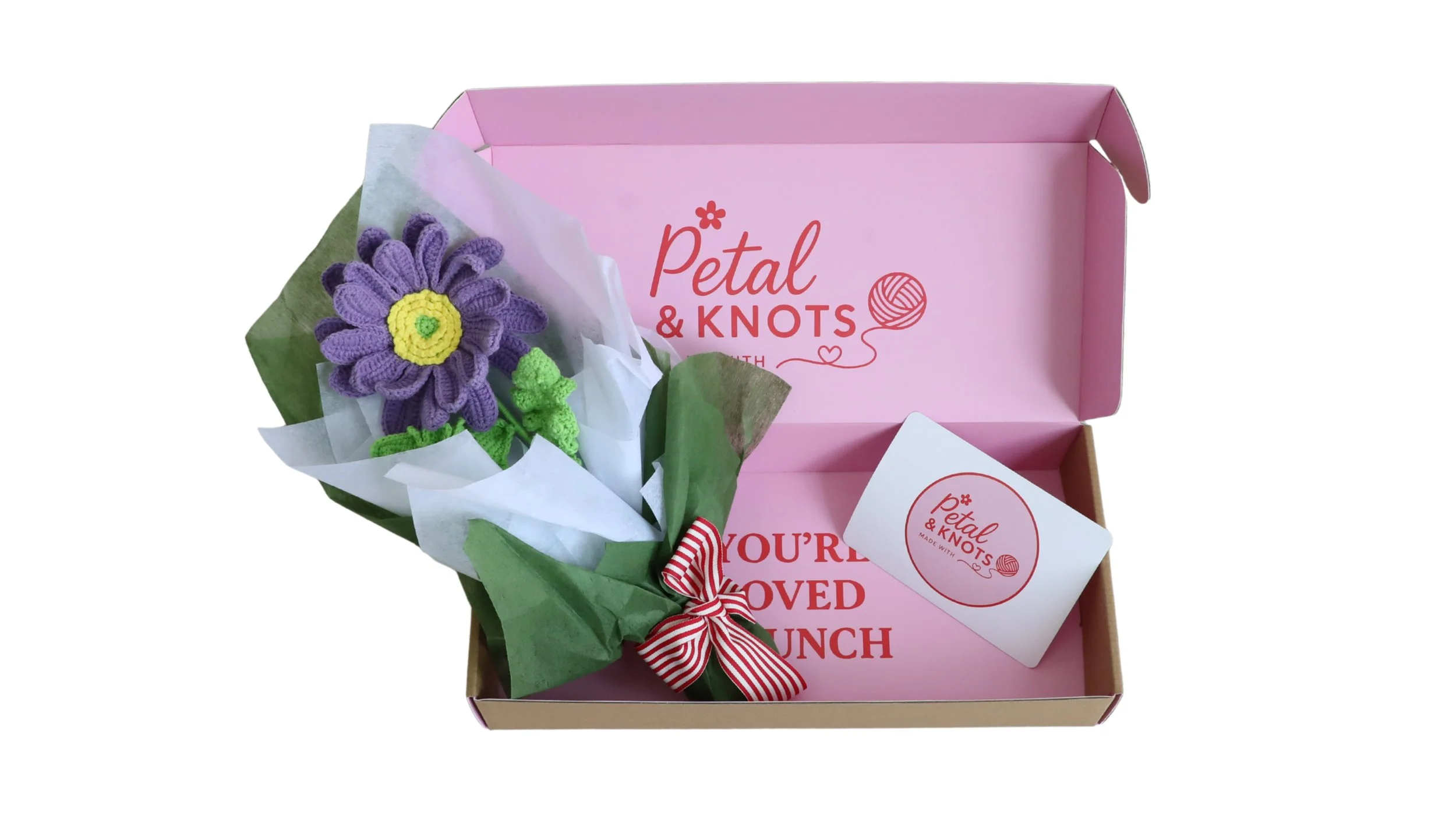 Indigo Bloom - One Large African Violet