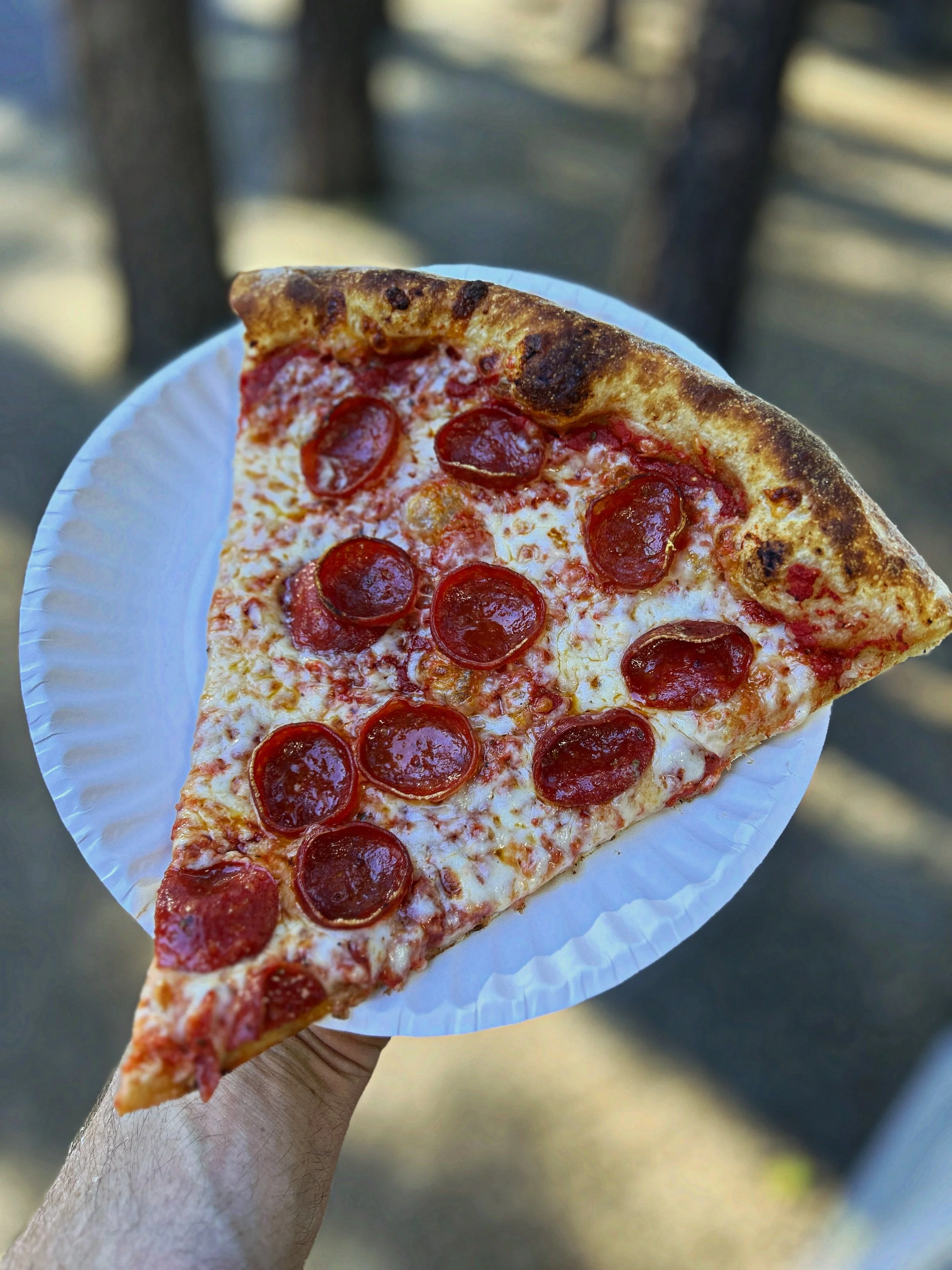 A slice of pepperoni pizza held in a person's hand, with a background of trees and sunlight.