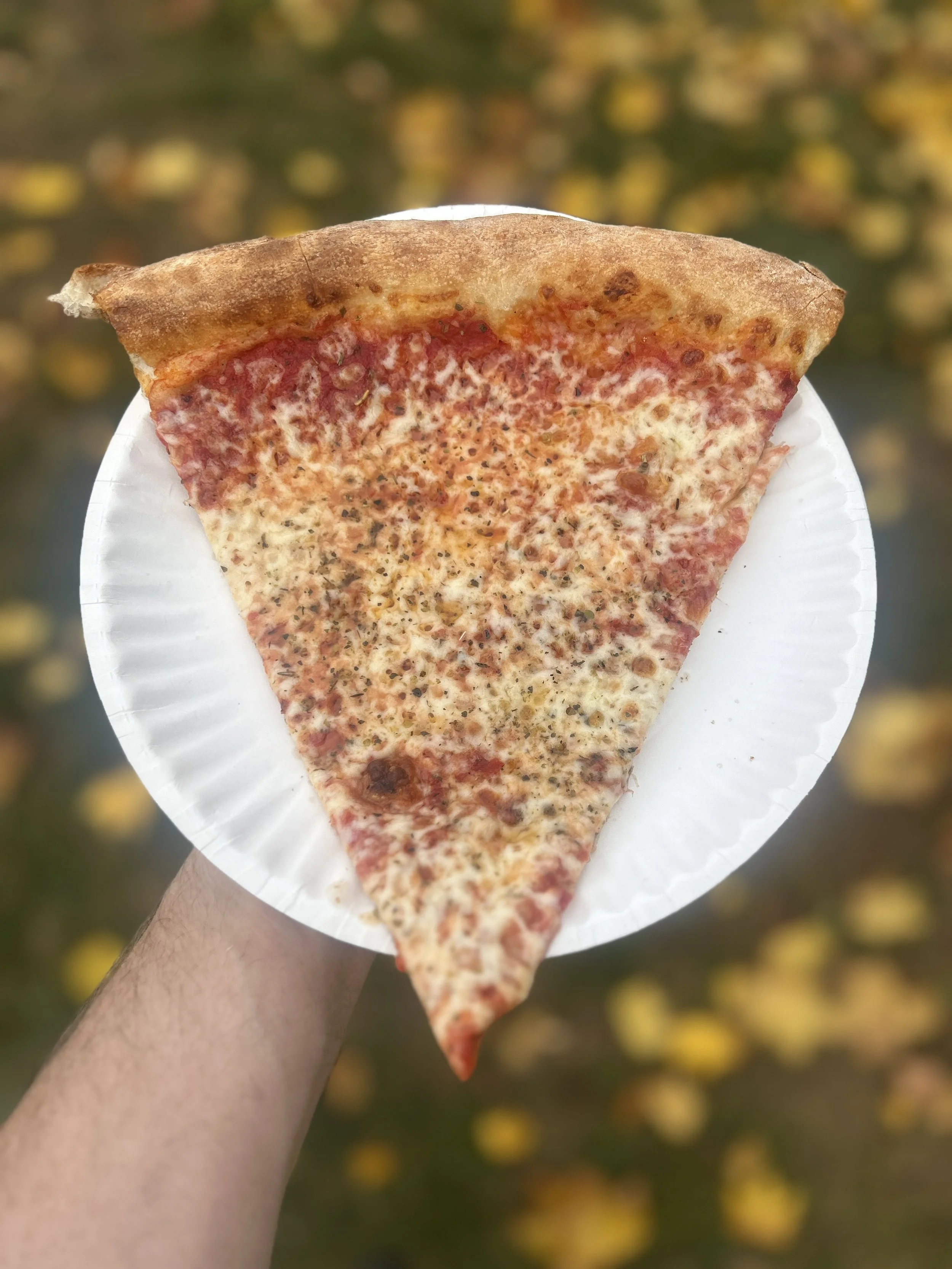 A slice of cheese pizza on a white paper plate, held by a hand outdoors with a blurred background of yellow leaves.