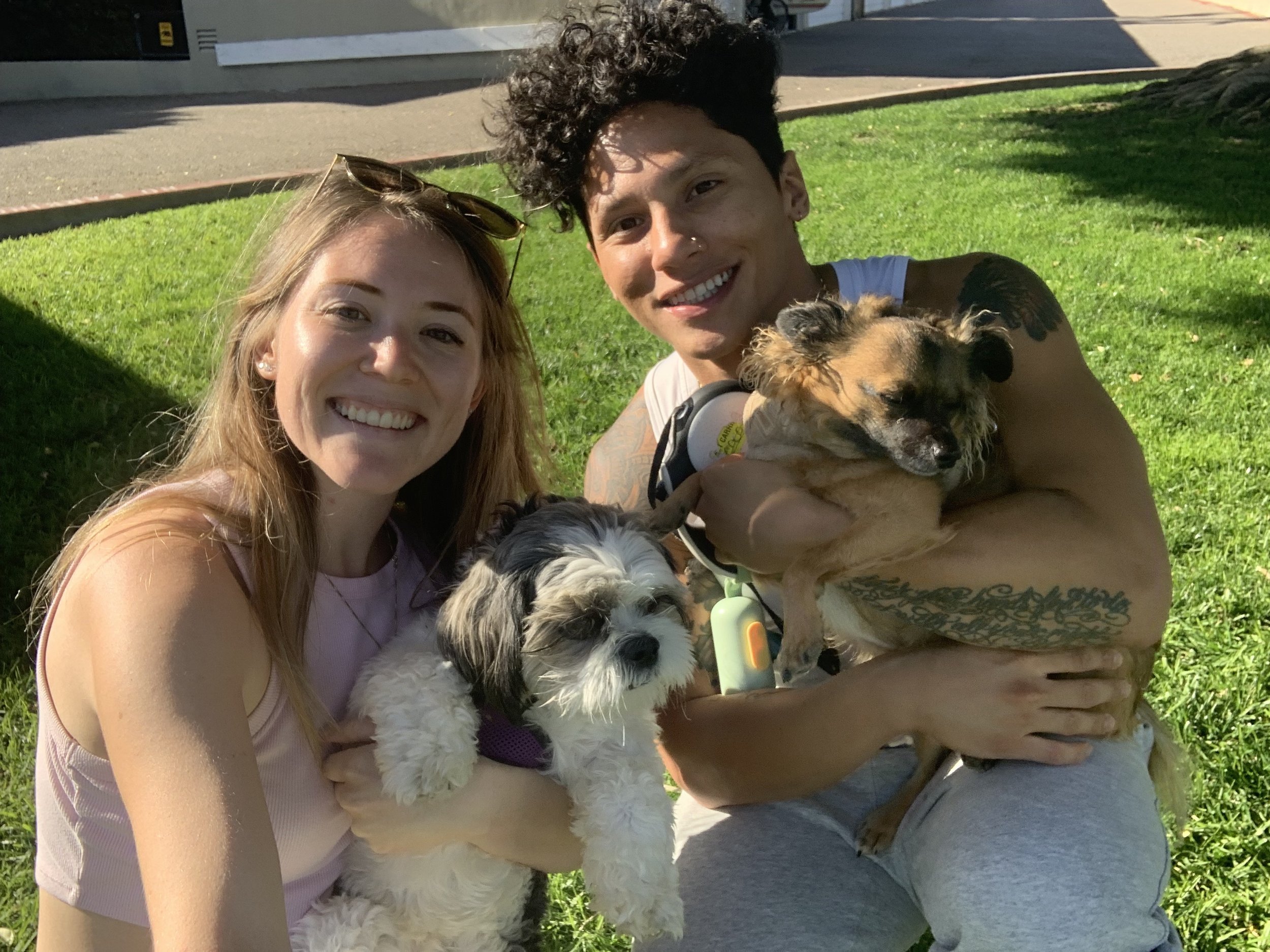 Two smiling women holding small dogs outdoors on grass, with trees and buildings in the background.