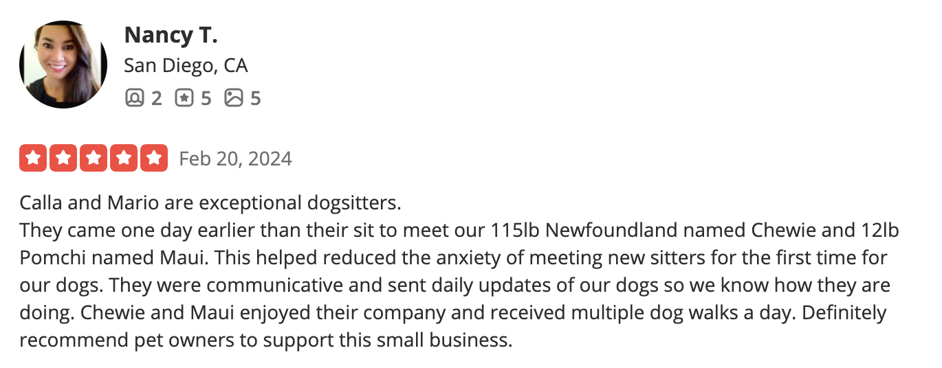 Review for Nancy T. from San Diego, CA praising Calla and Mario for being exceptional dogsitters, mentioning their visit with new puppies Chewie and Maui, and describing their positive interactions and activities.