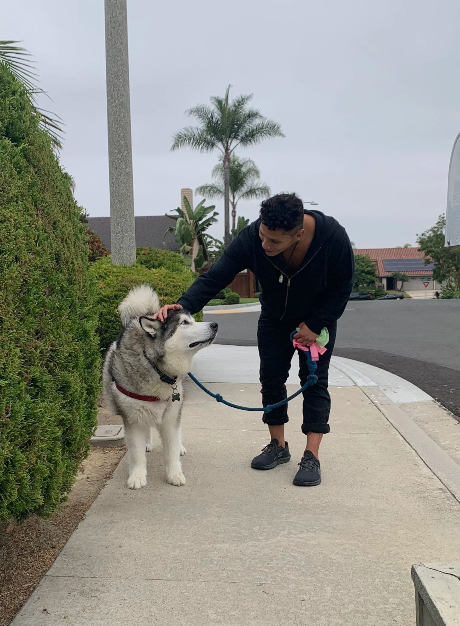 A person in a black hoodie and black pants kneels on a sidewalk, petting a Siberian Husky dog. The dog has gray and white fur, is wearing glasses and a red collar, and looks up at the person. The background includes bushes, palm trees, houses, and an overcast sky.