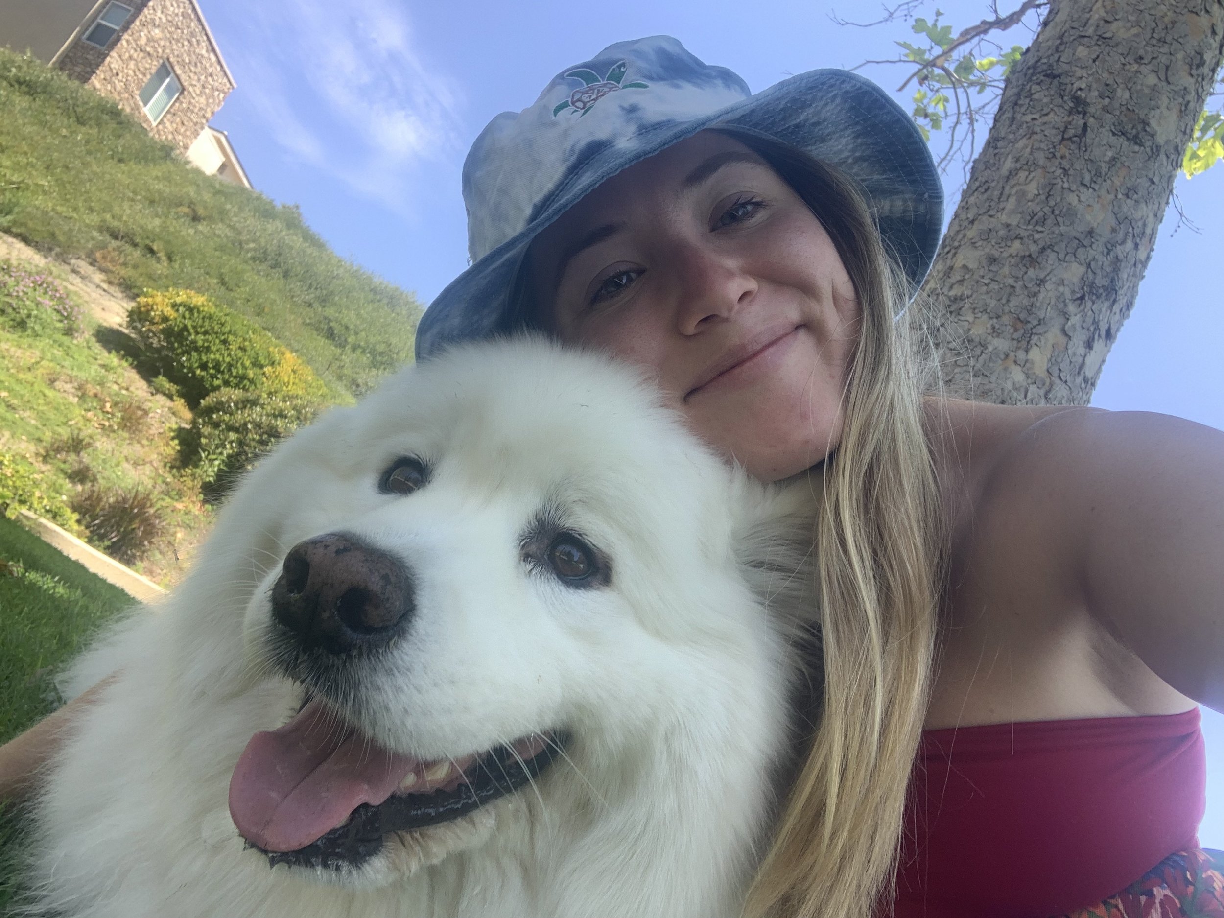 A girl with long hair wearing a bucket hat and a pink top, smiling as she leans on a large white dog with a fluffy coat and a dark nose, outdoors on a sunny day with a house, green bushes, and trees in the background.