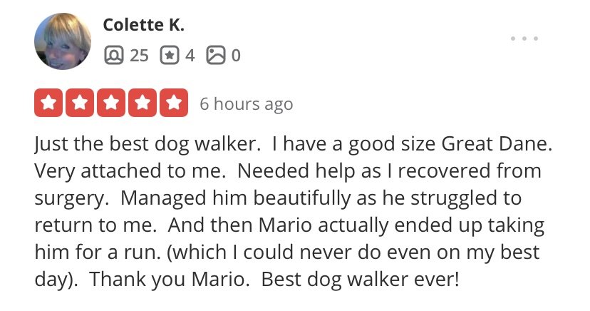 Screenshot of a Facebook review written by Colette K. praising her dog walker, Mario. The review has five stars and mentions her being a proud owner of a large Great Dane dog who is very attached to her and helped her recover from surgery. She describes how Mario managed her dog beautifully and took him for a run.