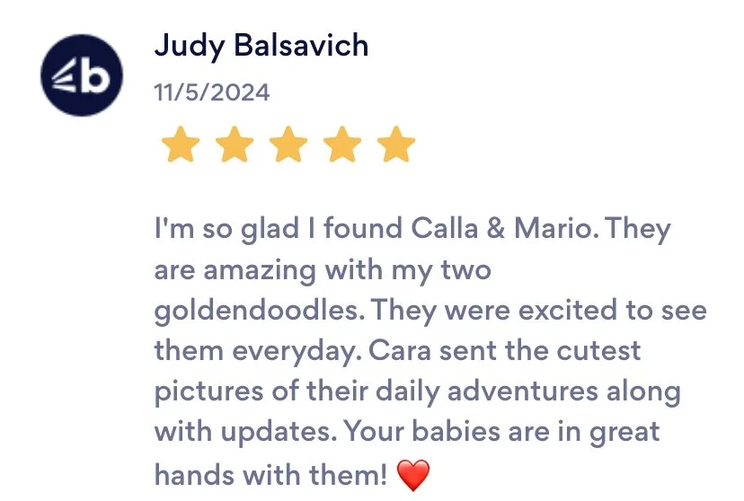 Five-star review from Judy Balsavich mentioning children Calla and Mario, their two goldendoodles, and their daily adventures with updates.