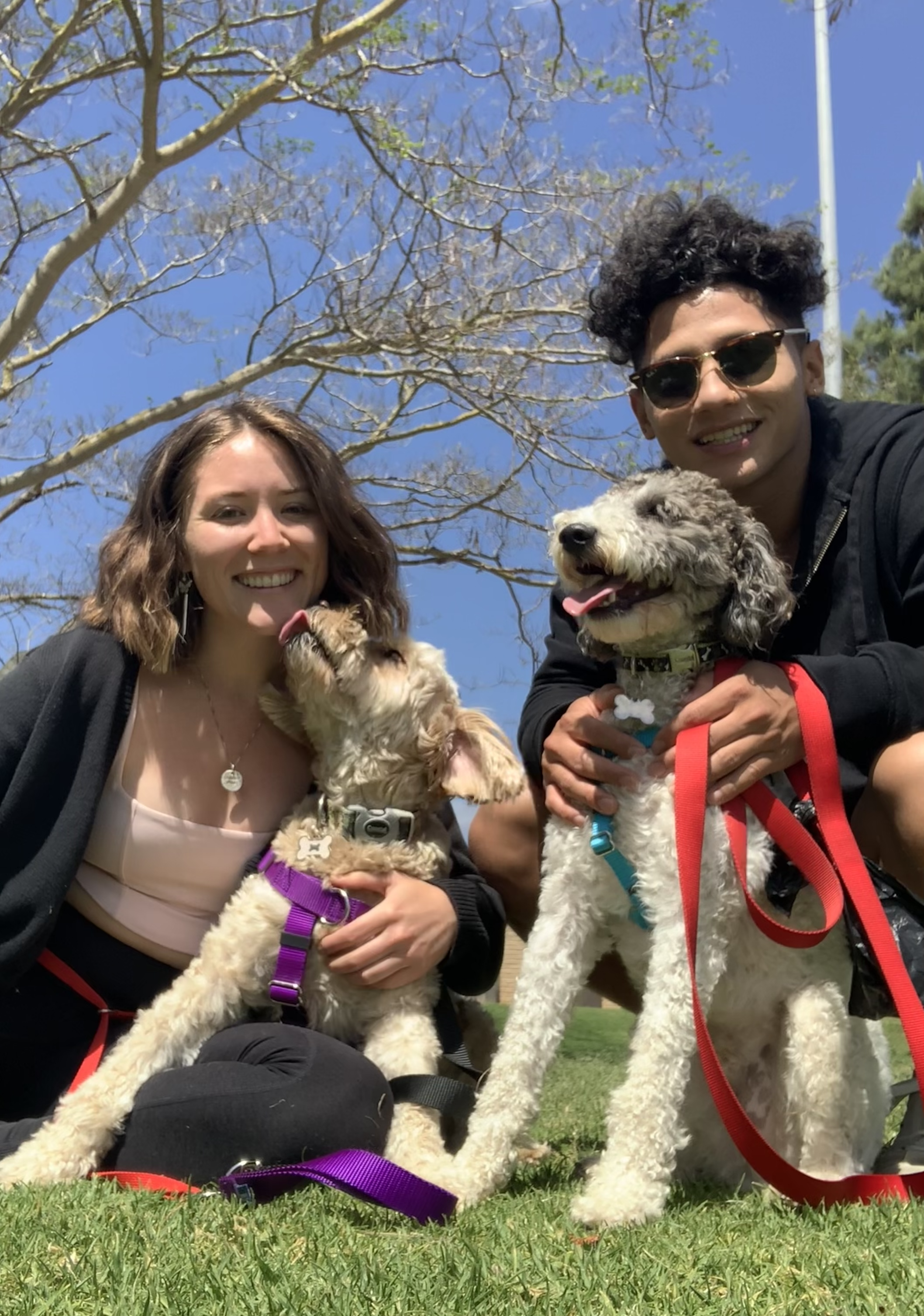 A smiling woman and man outdoors with two dogs, one licking the woman's face, the other sitting. The woman has shoulder-length brown hair, wearing a black jacket and beige top. The man has curly dark hair, sunglasses, and a black hoodie. The dogs are