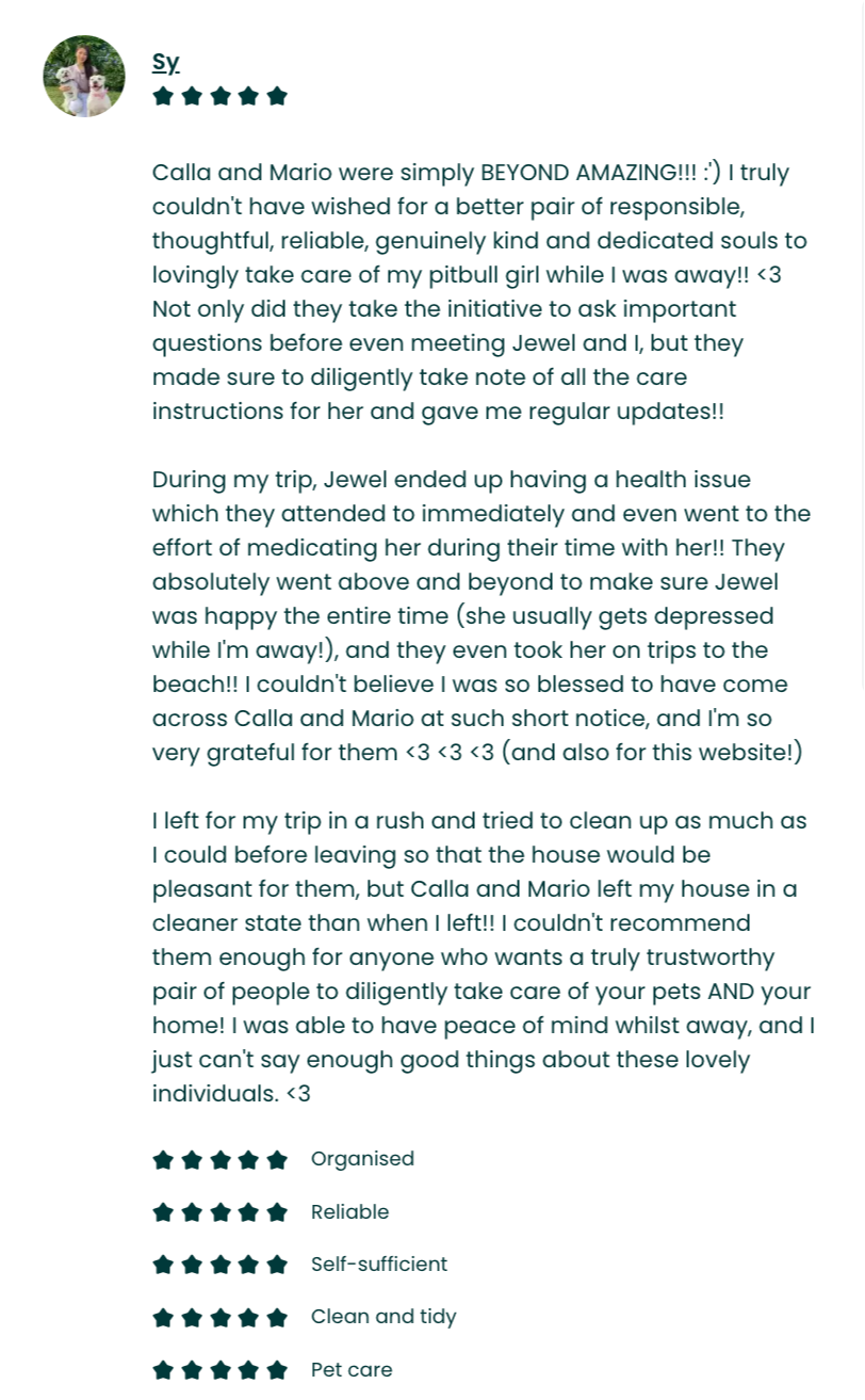A positive review written by Sy praising Calla and Mario for their responsible, caring, and dependable pet-sitting service, highlighting their attentiveness and dedication to her pet, Jewel.