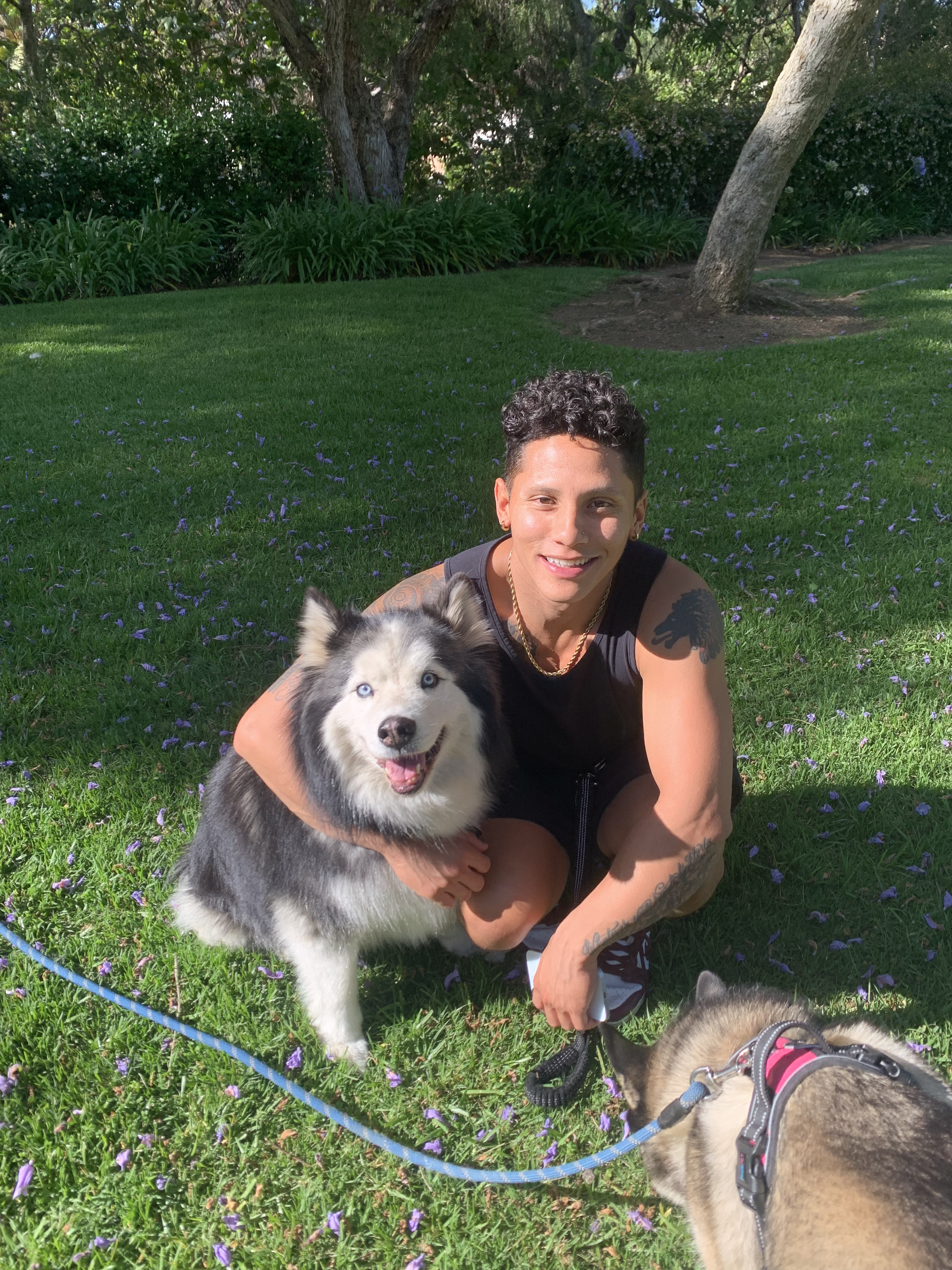 Person crouching in a park with two dogs, a Siberian Husky and a brown dog, on a grassy area with trees and bushes in the background.