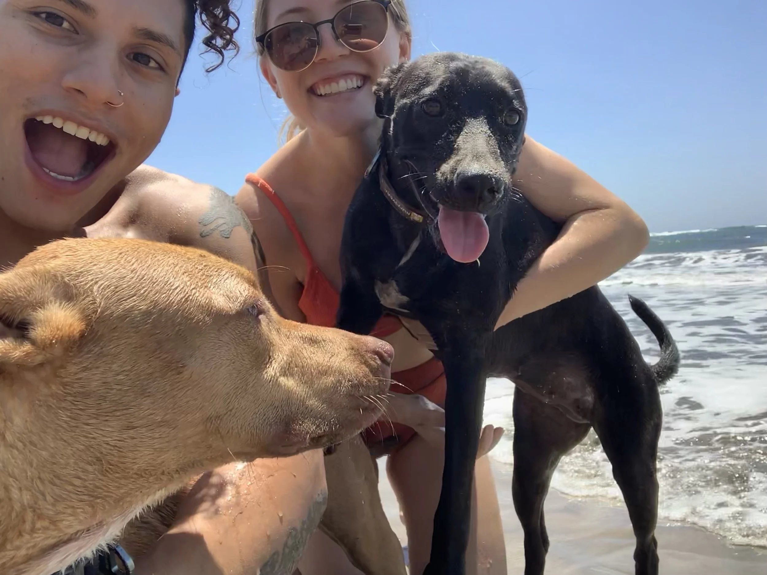 Two smiling people, a man and a woman, taking a selfie with two dogs on a beach, with ocean waves in the background.