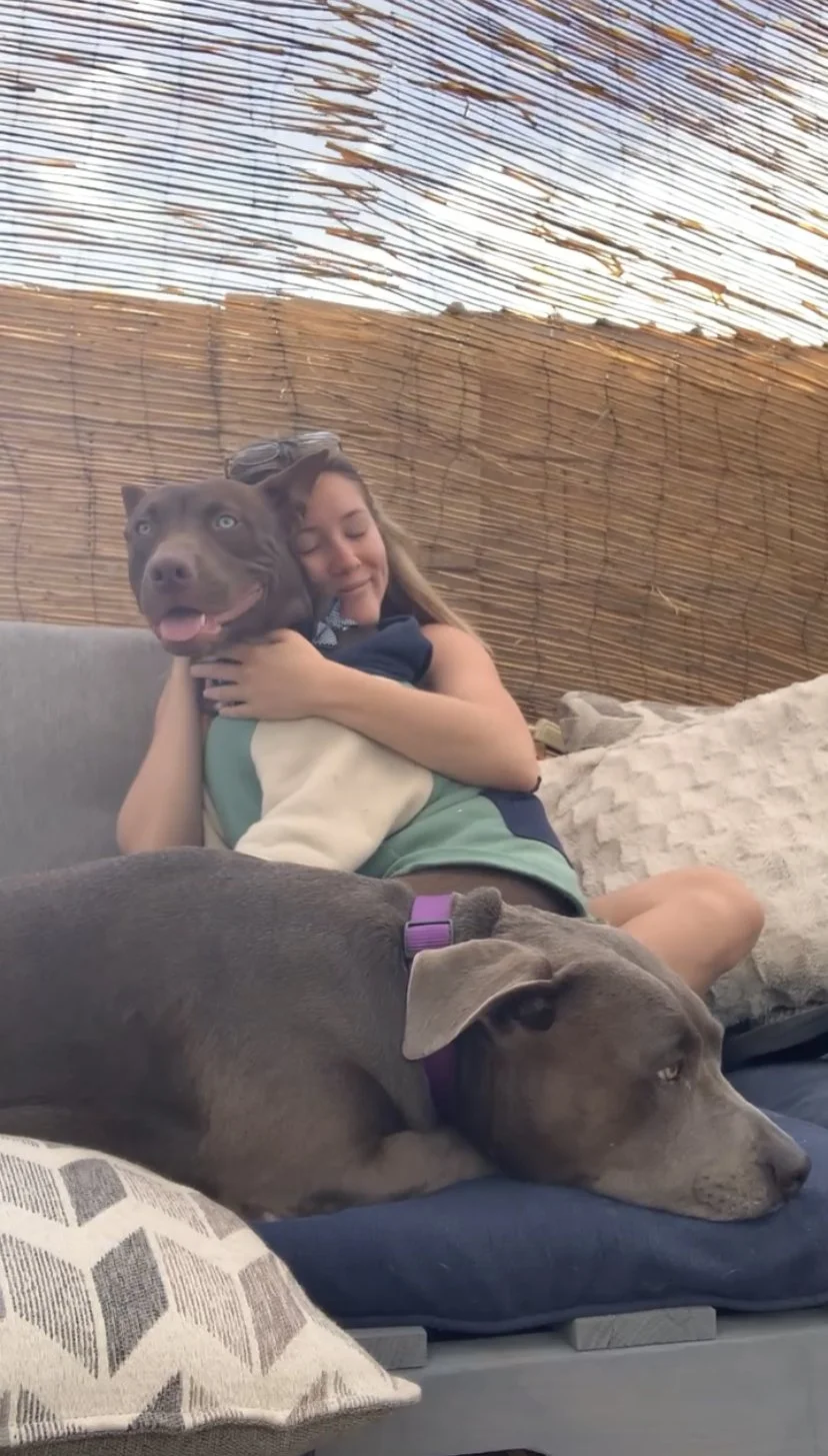 A girl hugging a brown dog with light eyes, sitting on a couch next to a pillow, with a larger gray dog lying beside her, resting its head on the couch.