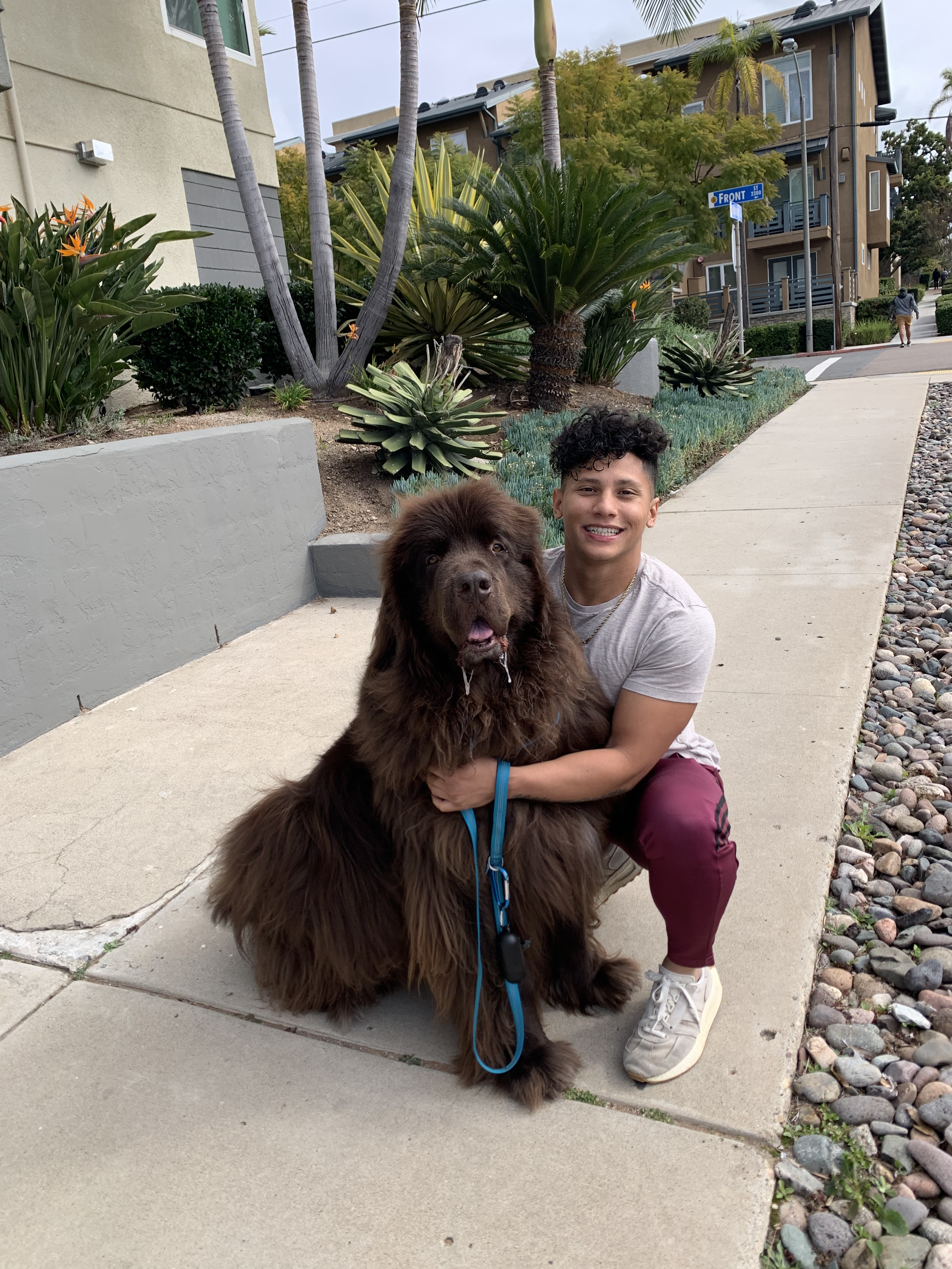 A young man crouching on a sidewalk holding a large, fluffy brown dog with drooping ears. The background features plants, palm trees, and residential buildings.