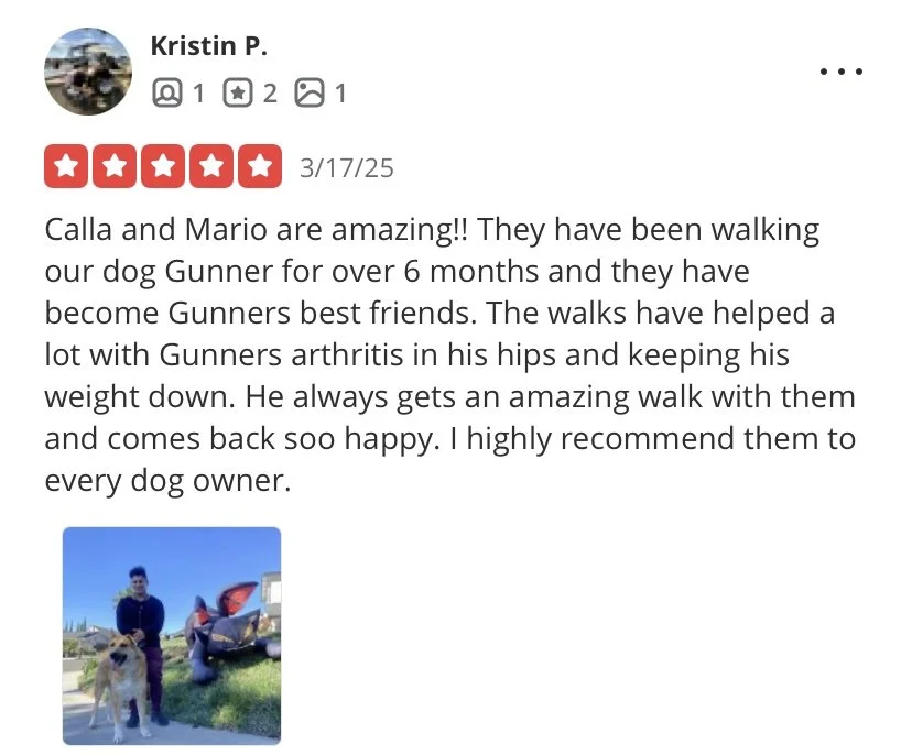 Photo of a man standing outdoors next to a large dog and a colorful statue of a robot on a grassy area with houses in the background.