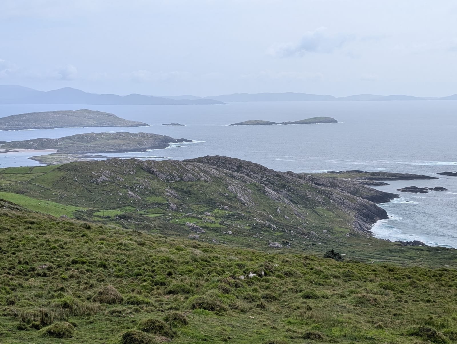 WhatsApp Image 2025-10-29 at 14.22.34 (3).jpeg