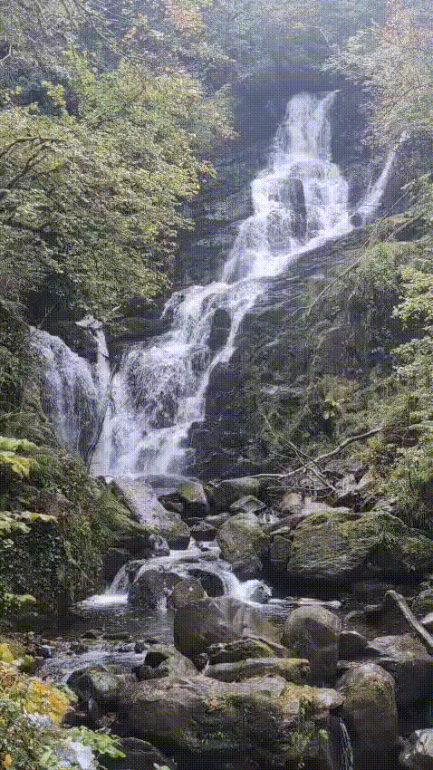 WhatsApp Video 2025-10-29 at 14.22.23.gif