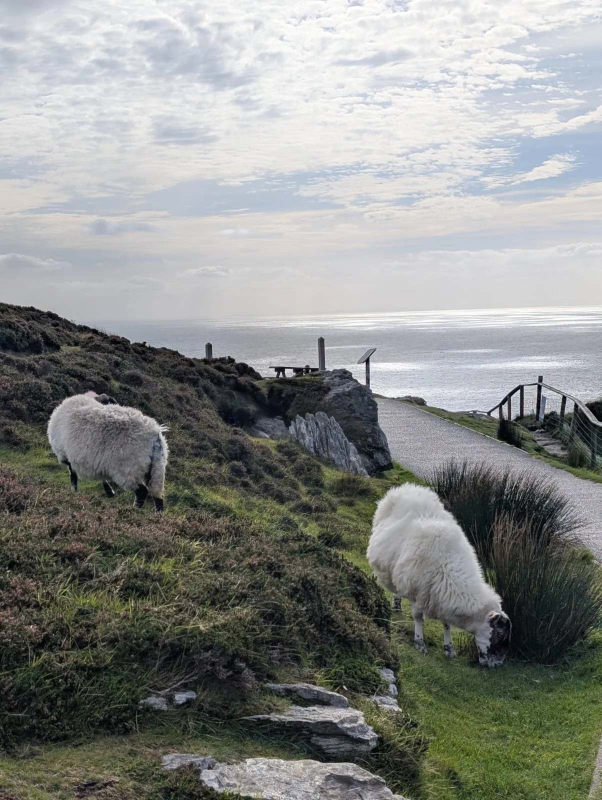 WhatsApp Image 2025-10-29 at 14.22.23 (1).jpeg