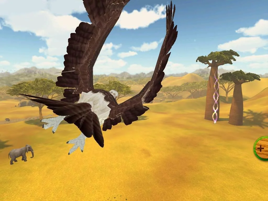 Animal Planet Wildlands - Gameplay Eagle Flying.jpg