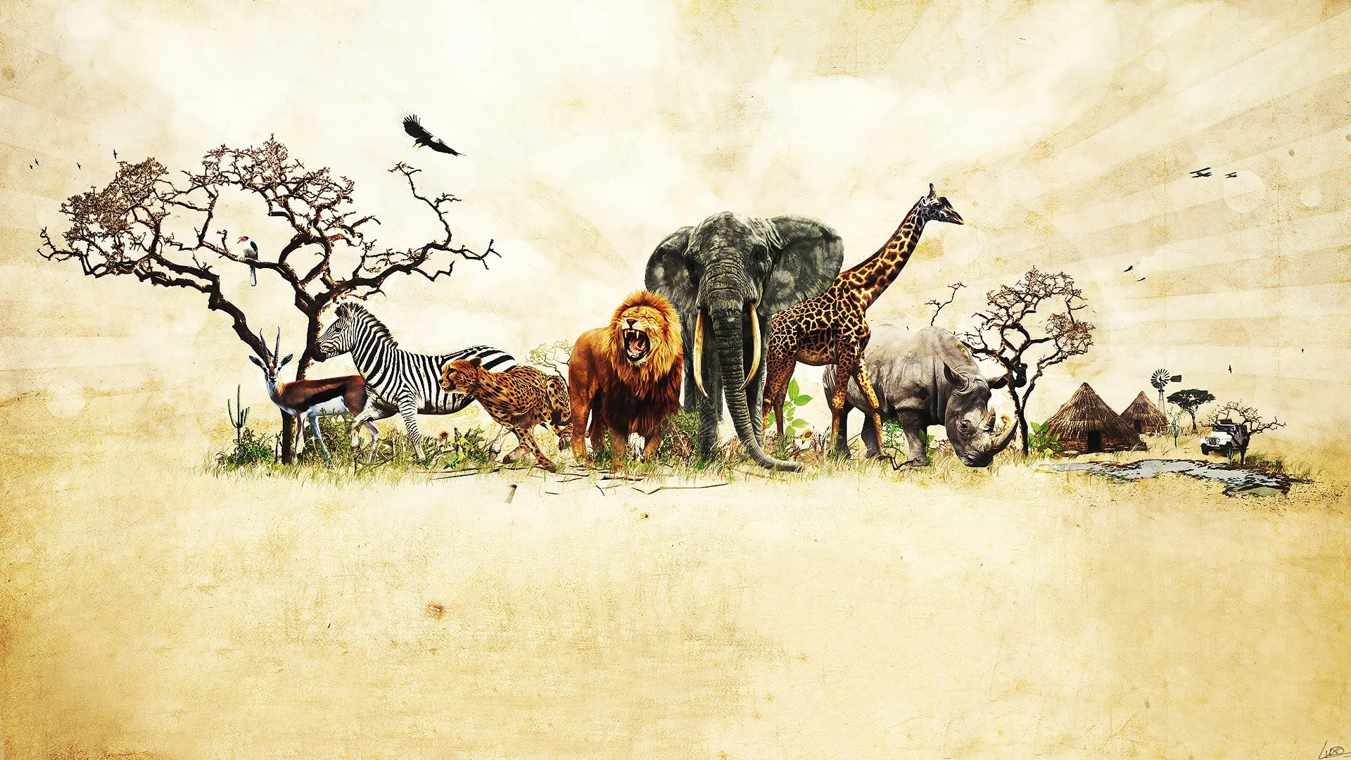 Animal Planet WIldlands Background