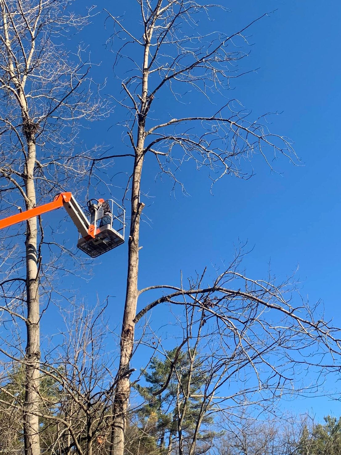 Oranssi project: roof expansion