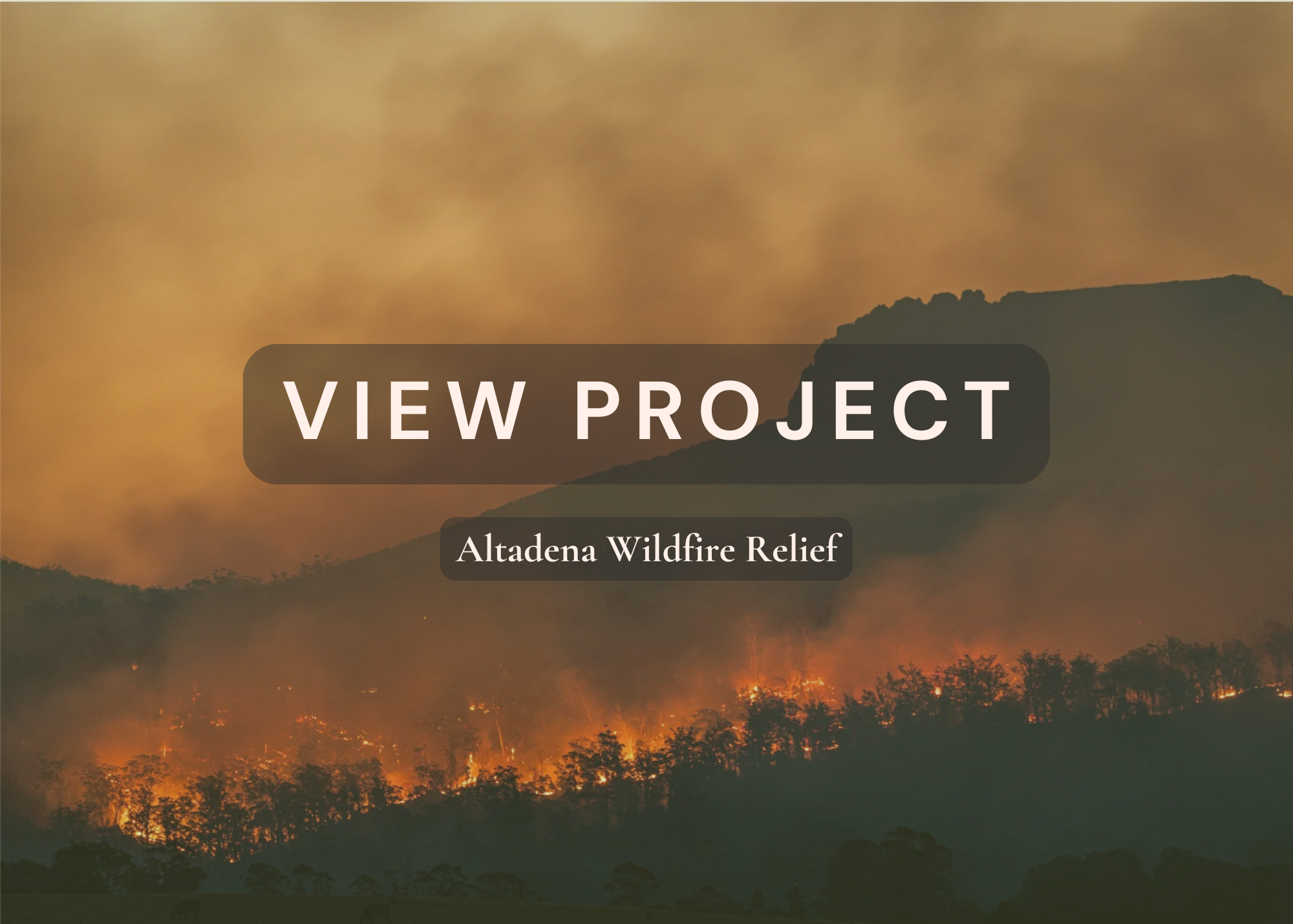 View Project.png