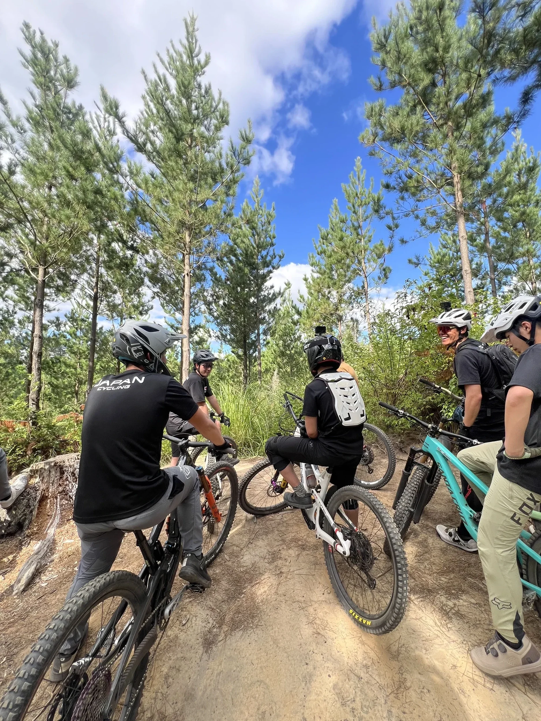 A group of people riding mountain bikes on a forest trail, wearing helmets and protective gear, with tall pine trees and a blue sky with clouds in the background.