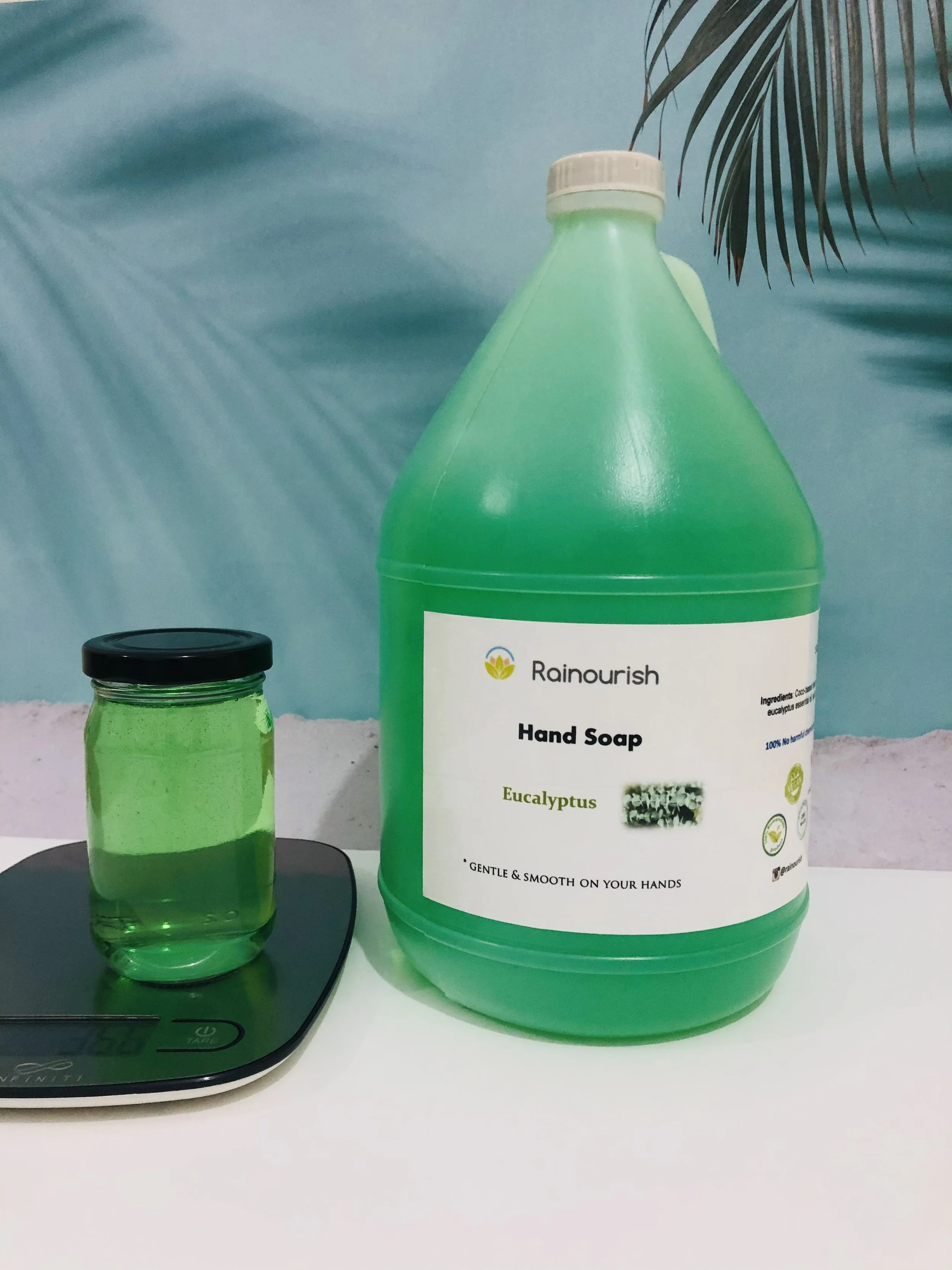 Eucalyptus 1gal.JPEG