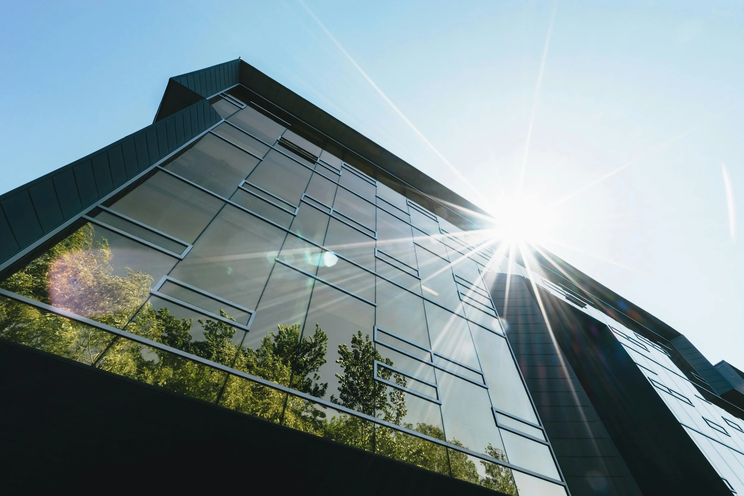 Low-angle view of a modern building with glass windows reflecting trees and the clear sky, with the sun shining brightly and creating lens flare.