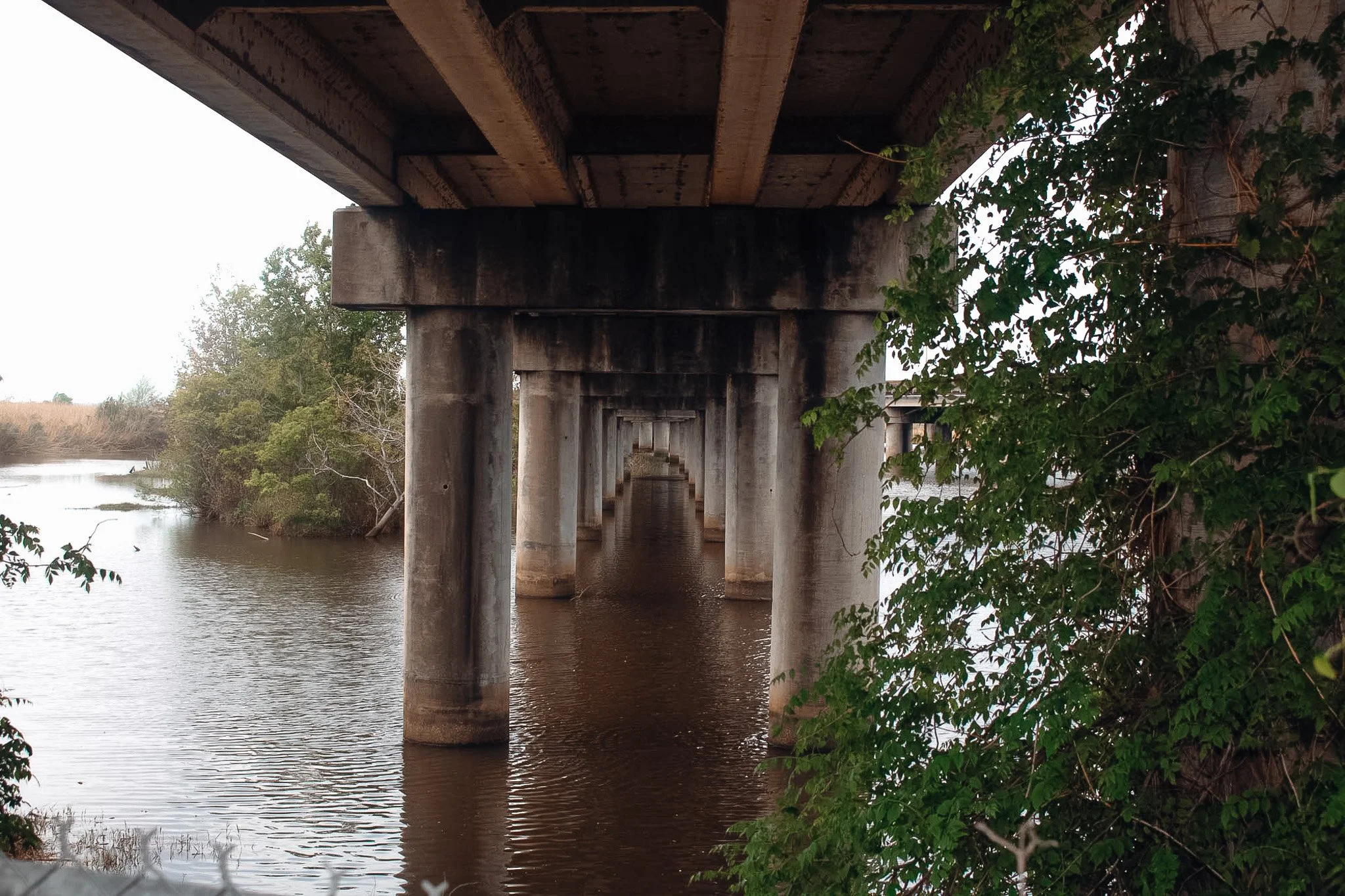 Underneath a concrete bridge over a river, with lush greenery on one side and a calm water surface.