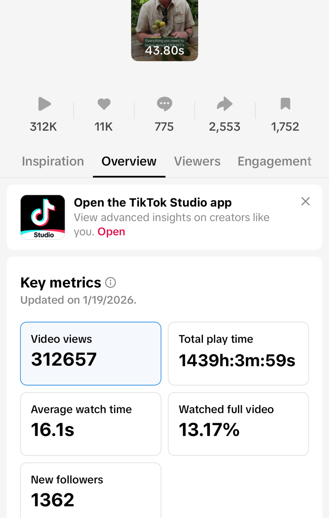tmg - that marketing girl - tiktok results.png