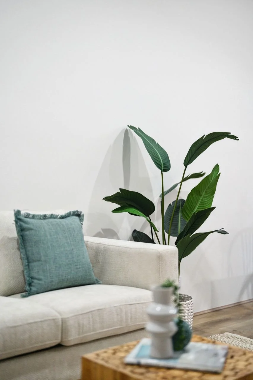 4_81A Carnarvon St, East Victoria Park 03.jpg