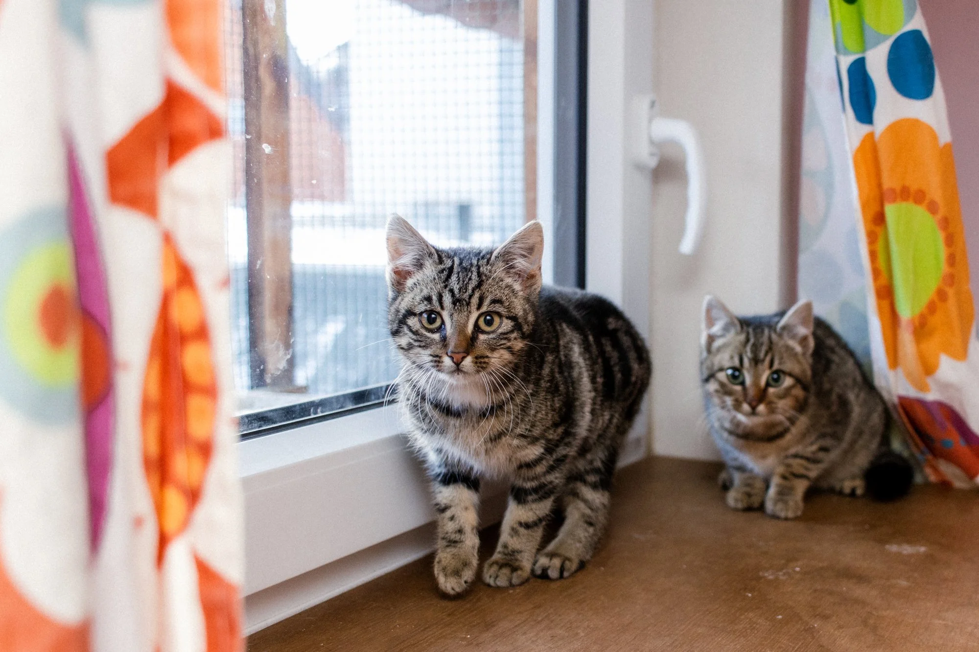 2026_01_05 - Mausi015_2000px.JPG