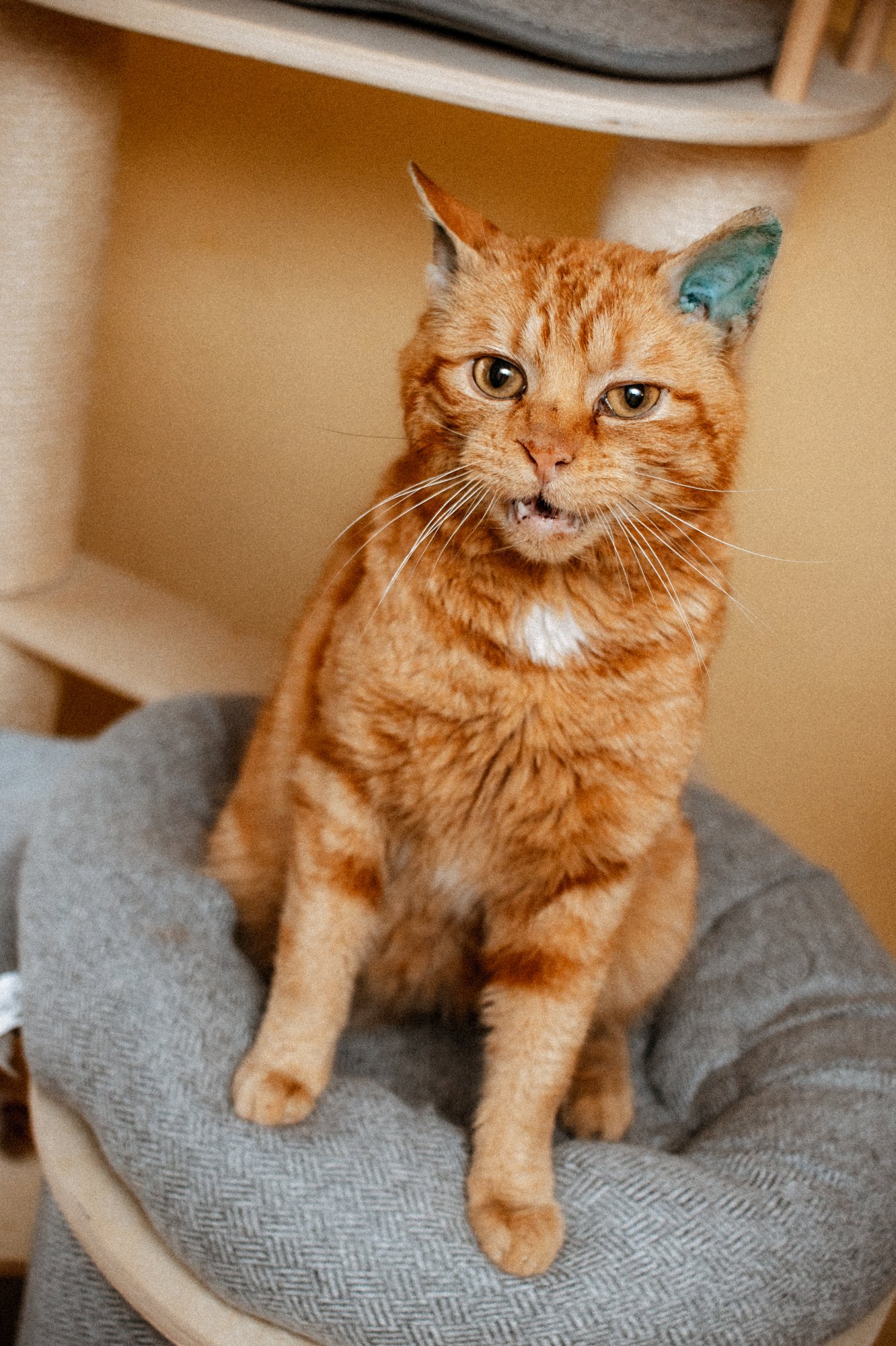 2026_04_03 - Piet_008.JPG