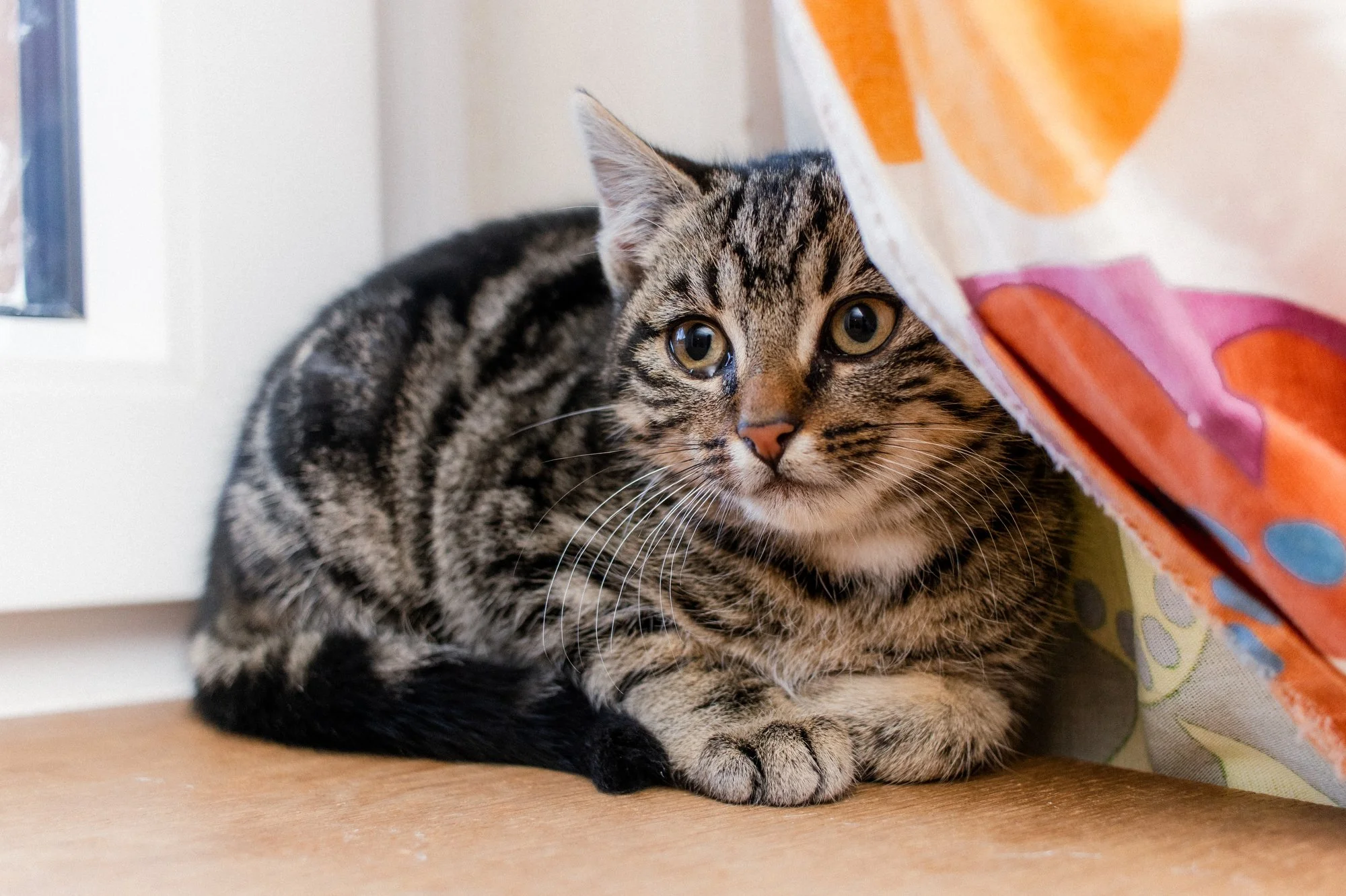 2026_01_05 - Mausi014_2000px.JPG