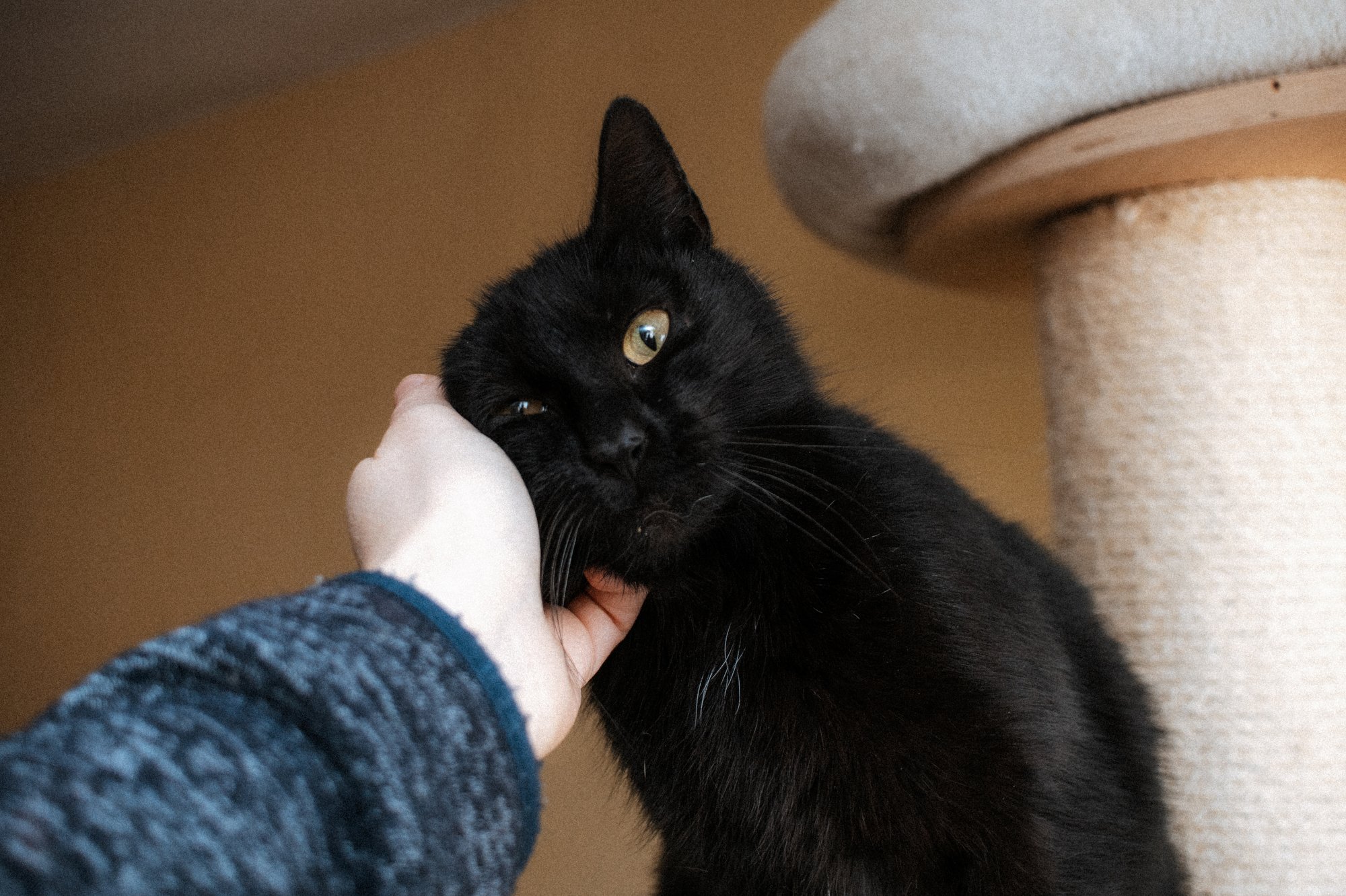 2026_04_13 - Katzenhaus, Piet und Loki_023_2000px.JPG