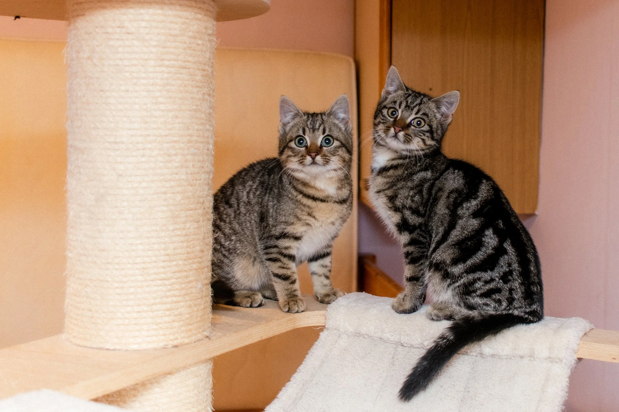 2026_01_05 - Mausi019_2000px.JPG