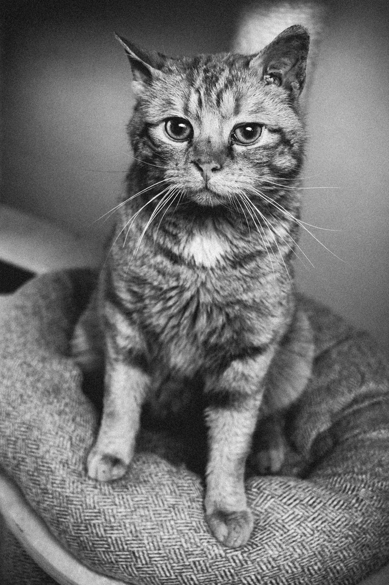 2026_04_03 - Piet_010.JPG