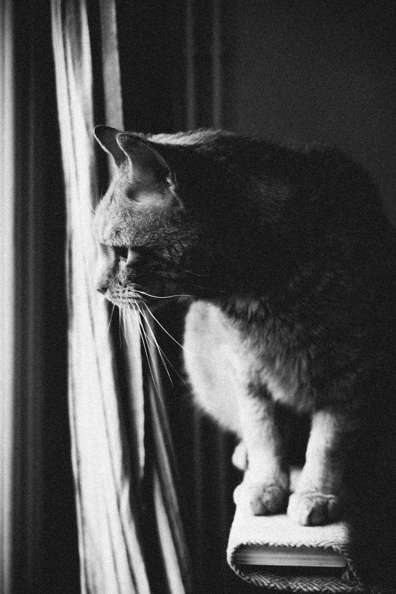 2026_04_03 - Piet_015.JPG