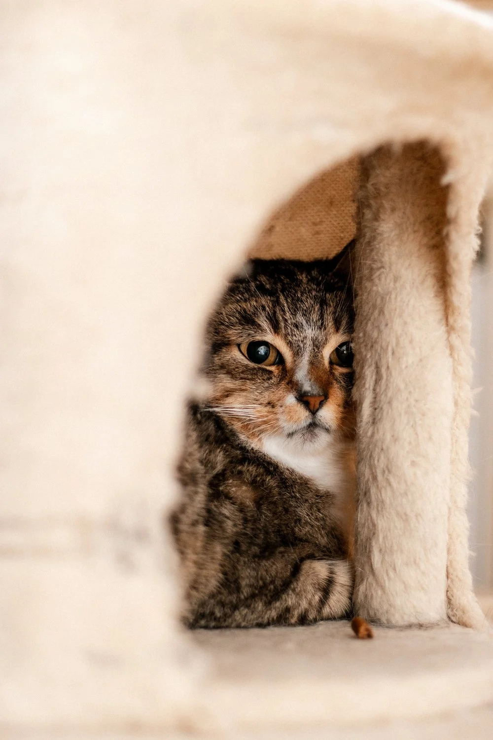 2026_02_06 - Pflegestelle, Birgit_012_1500px.JPG