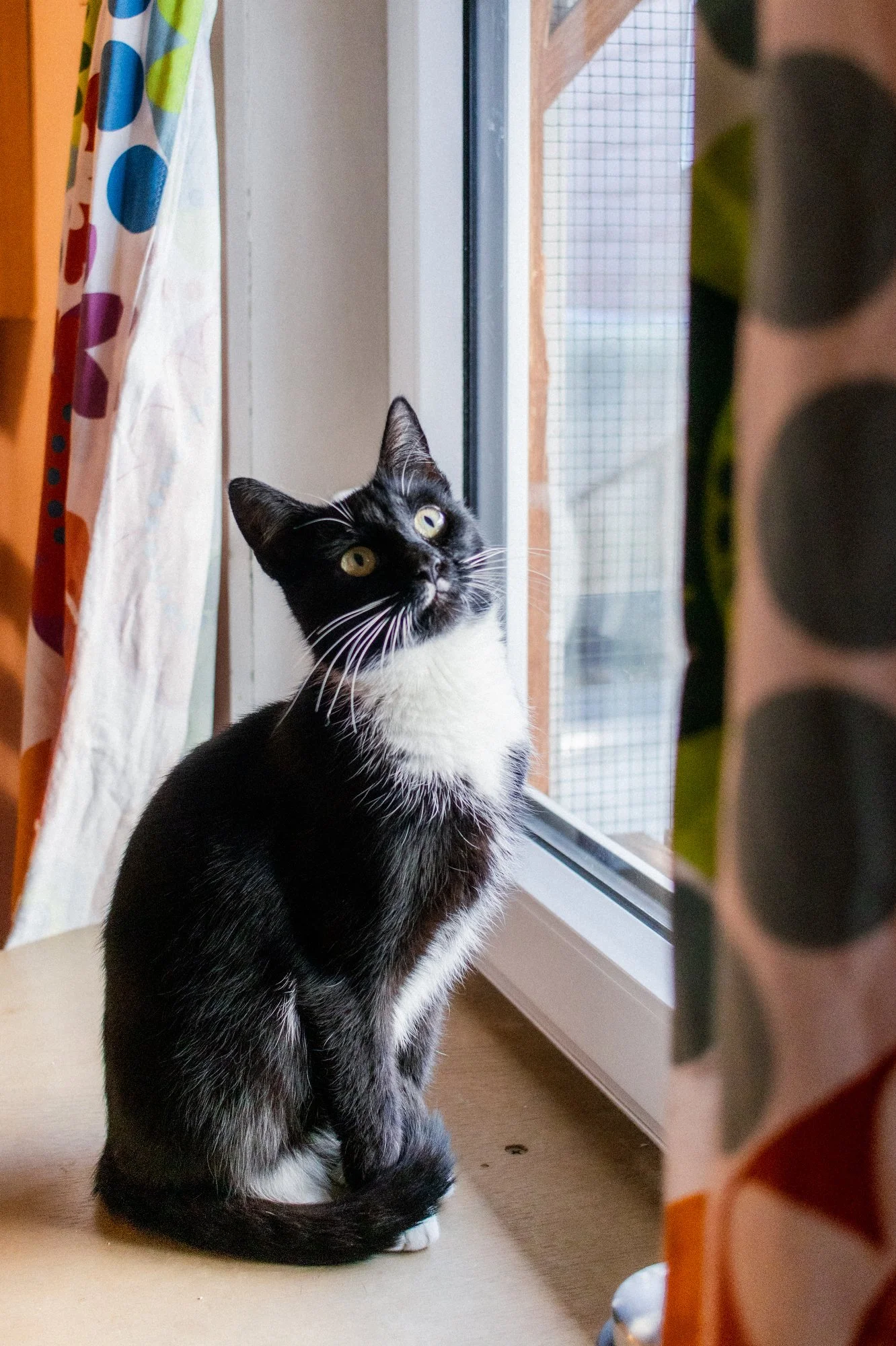 2026_01_05 - Mausi005_2000px.JPG