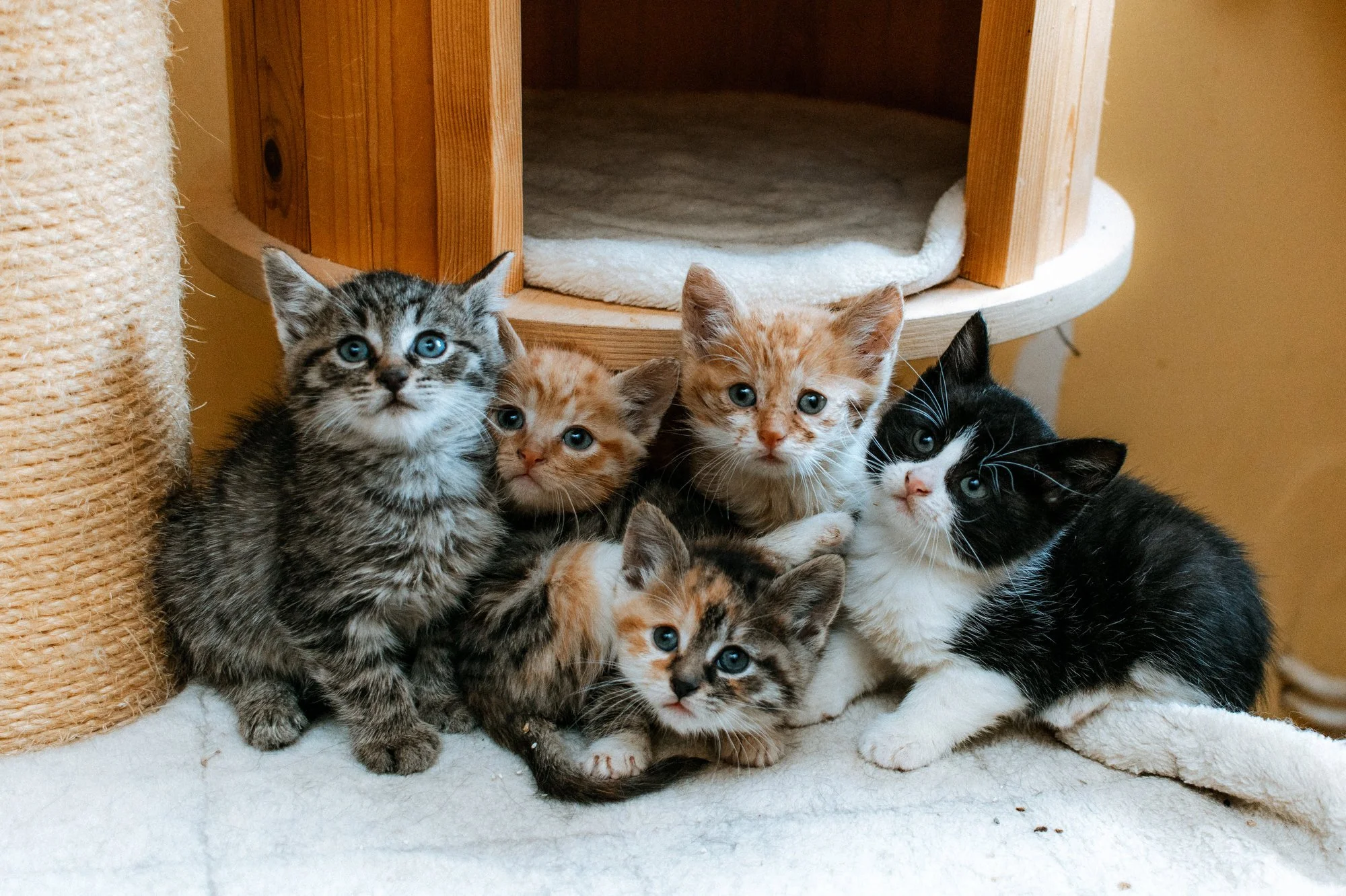 Wieder eine "ungewollte" Familie