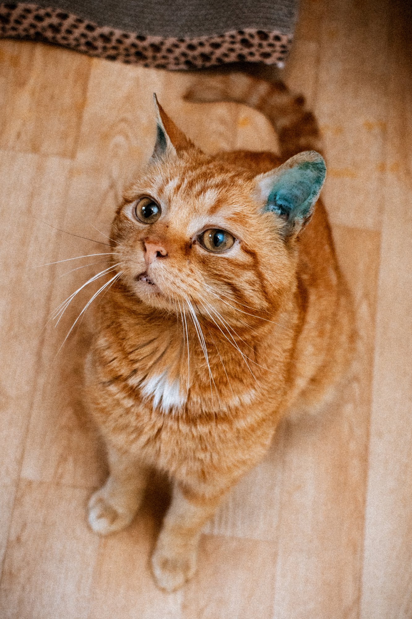 2026_04_03 - Piet_017.JPG