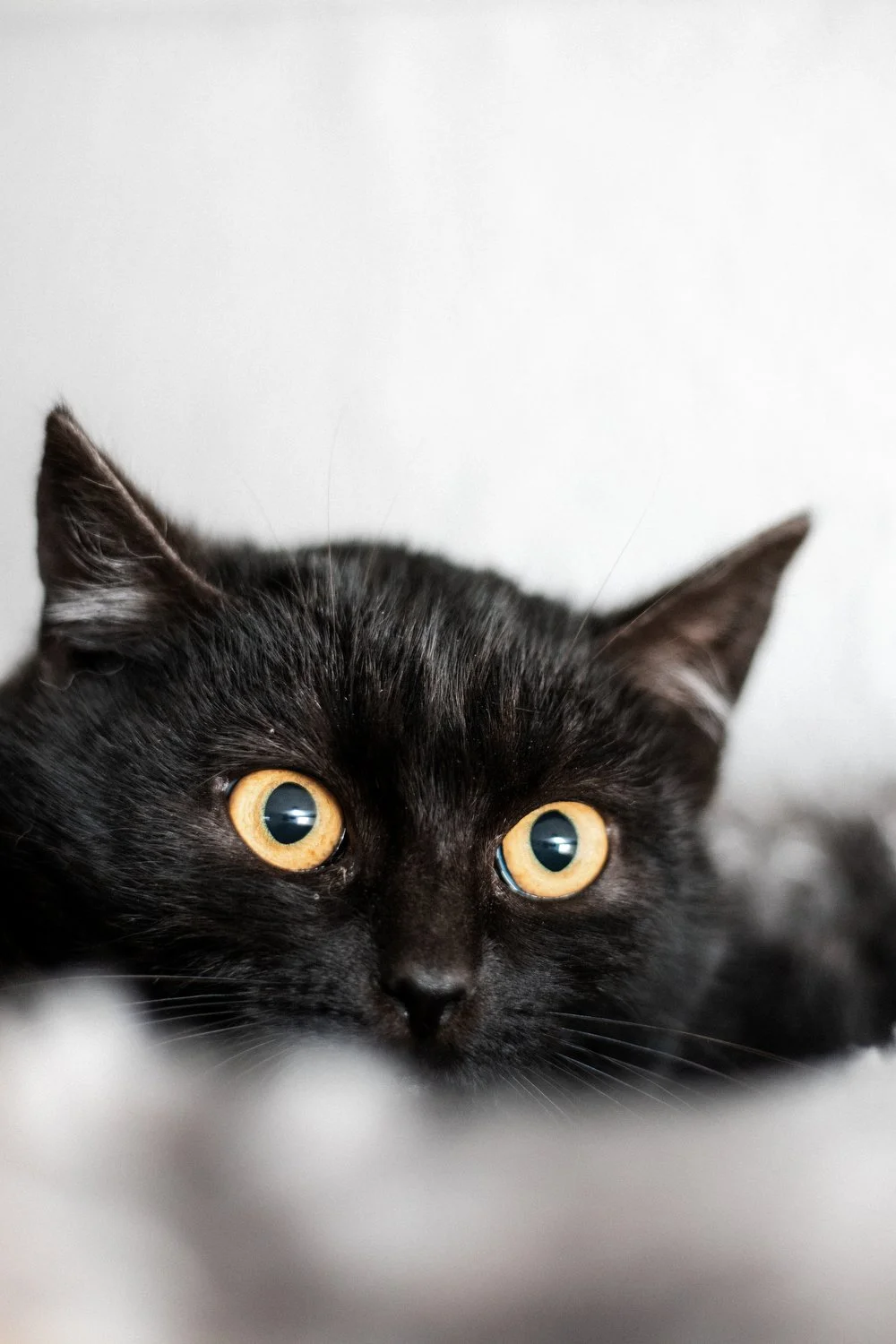 2026_02_06 - Pflegestelle, Birgit_013_1500px.JPG