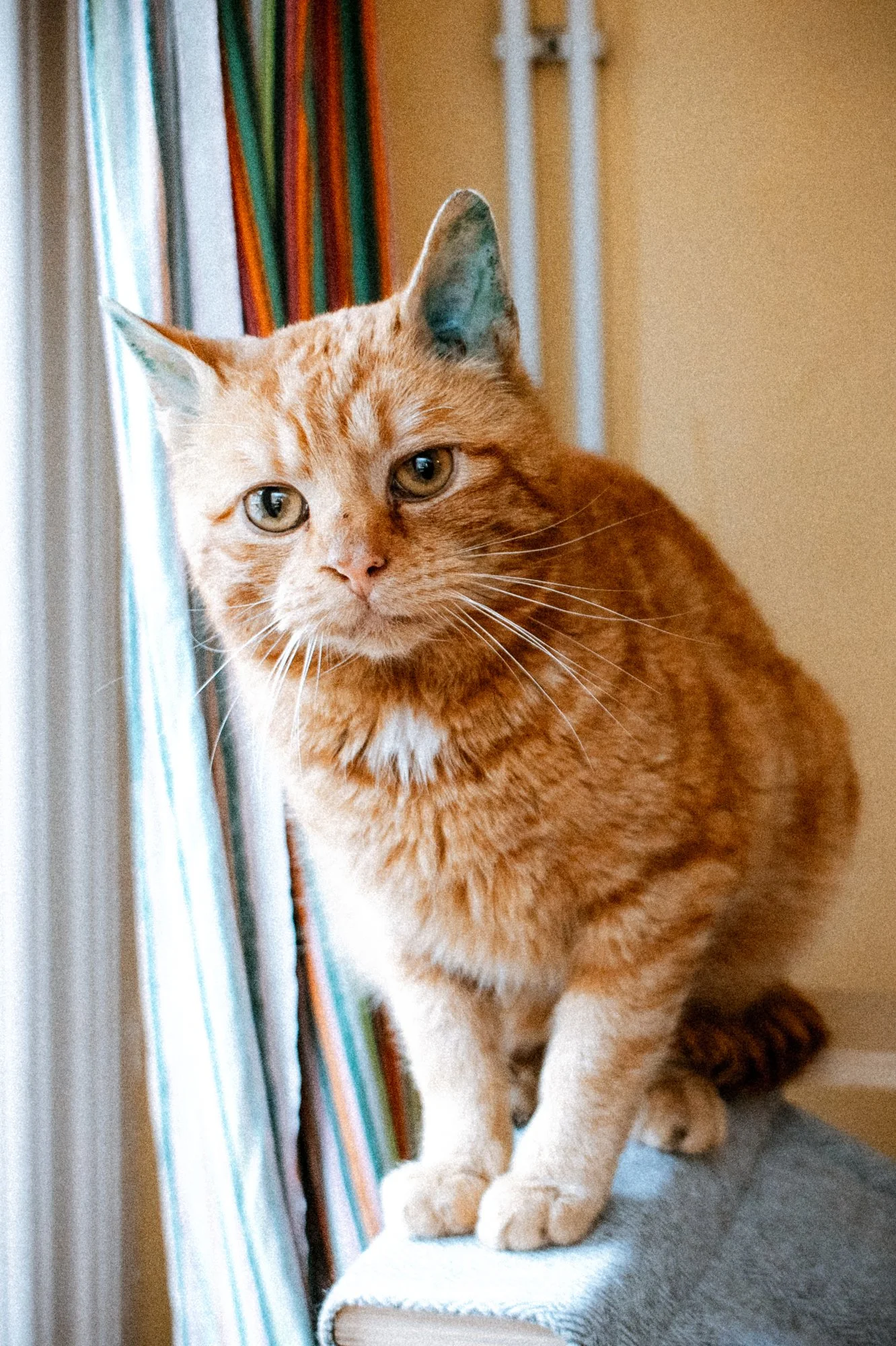 2026_04_03 - Piet_014.JPG