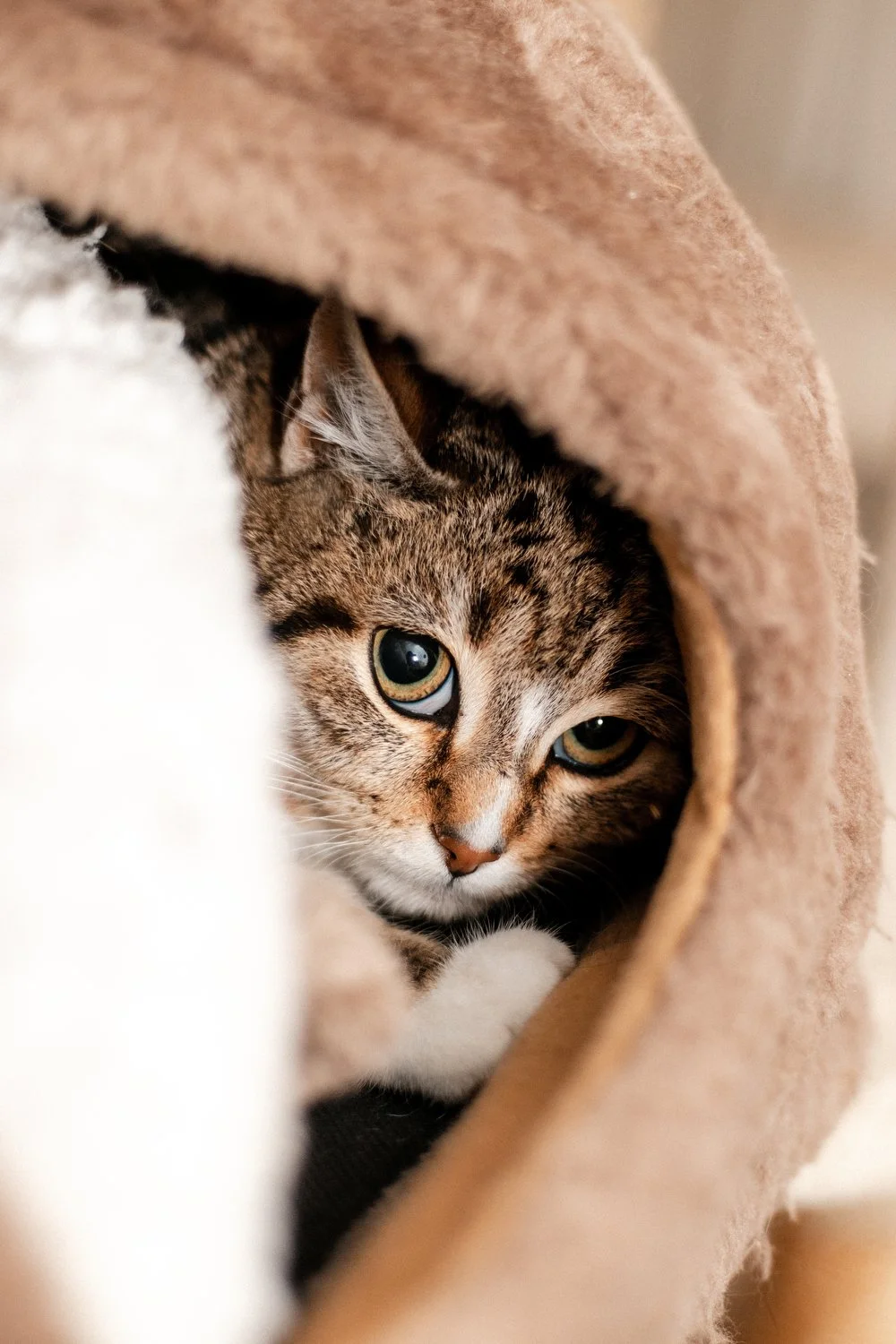 2026_02_06 - Pflegestelle, Birgit_011_1500px.JPG