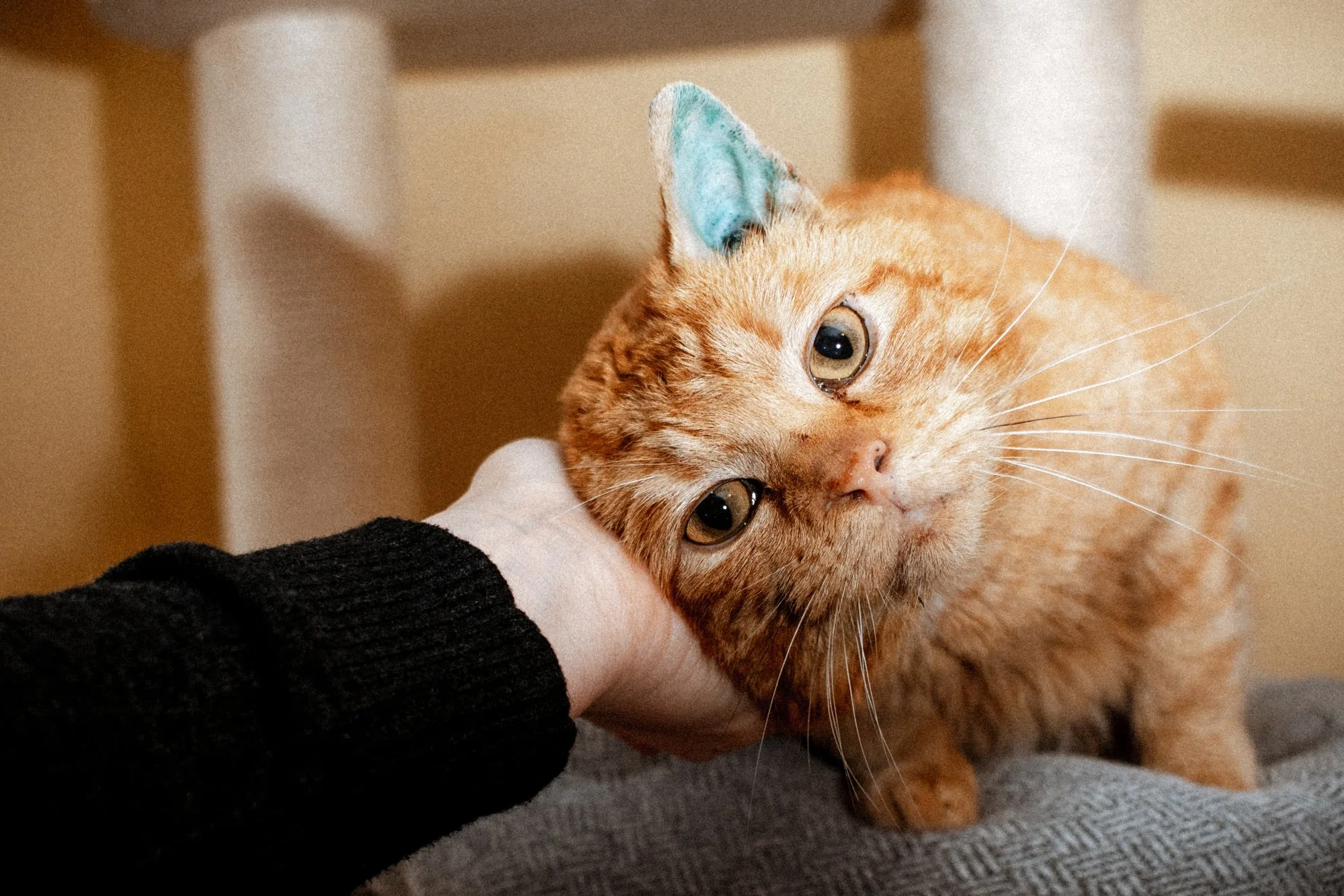 2026_04_03 - Piet_004.JPG